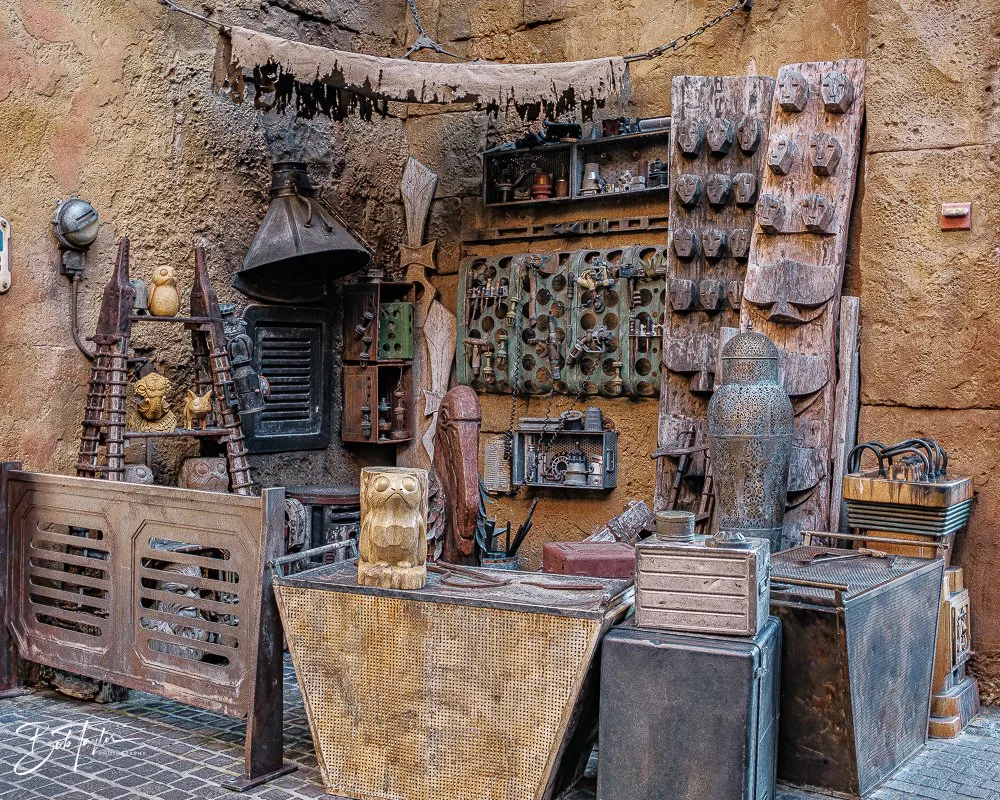 20260129-Hollywood Studios All -52.jpg