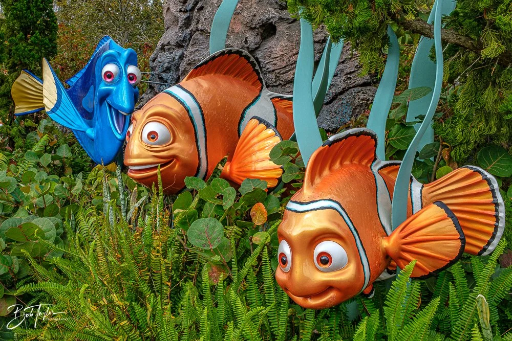 20260126-EPCOT All -29.jpg