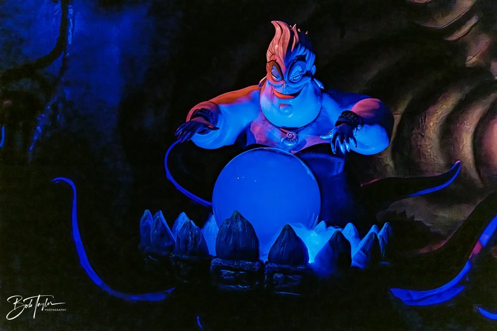 20260128-Magic Kingdom All -217.jpg