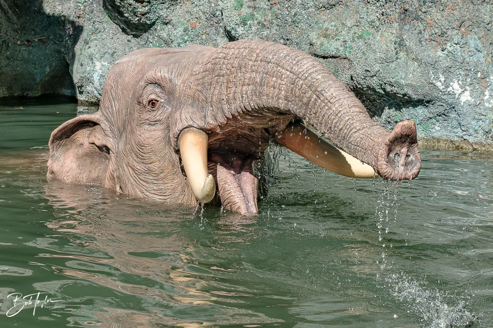 20260128-Magic Kingdom All -106.jpg