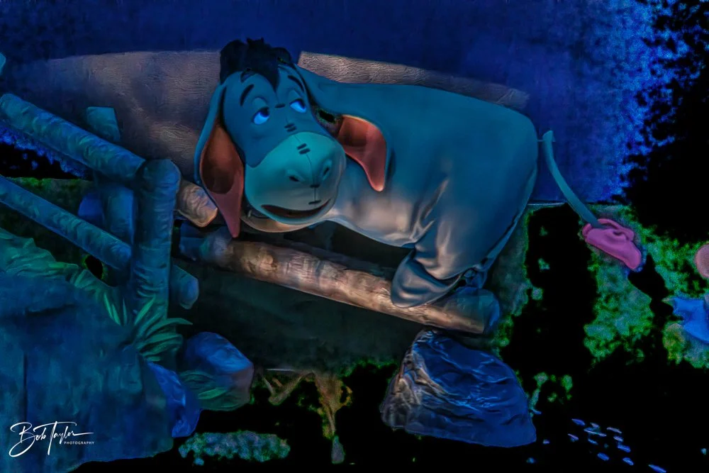 20260128-Magic Kingdom All -22.jpg