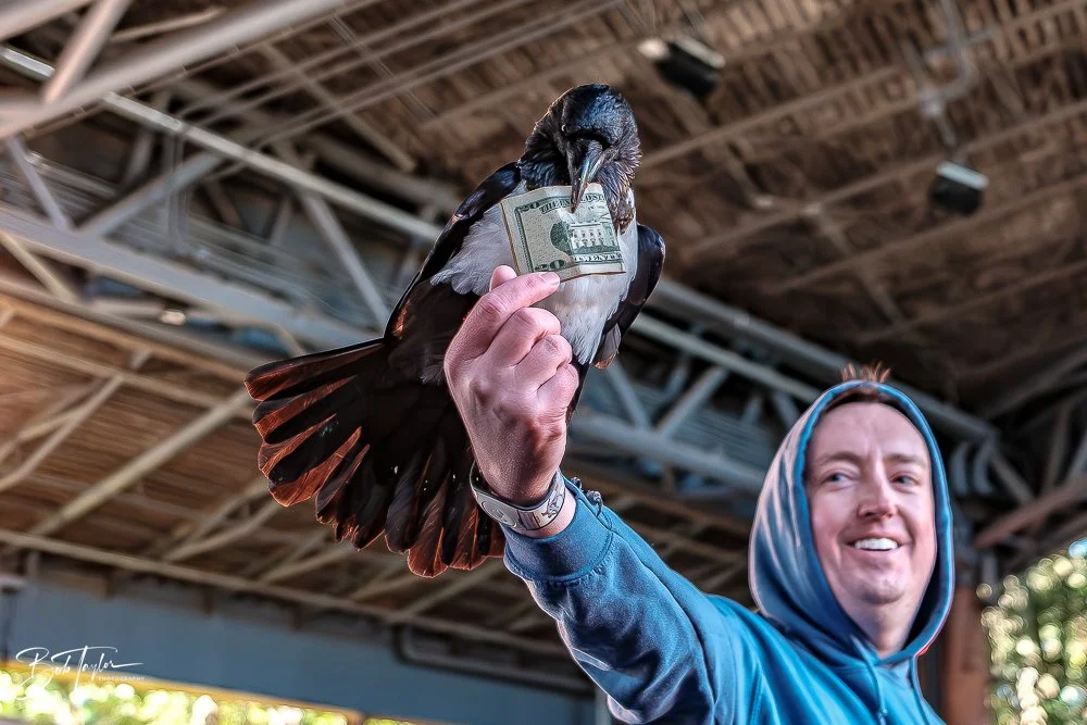 20260127-Animal Kingdom All -33.jpg