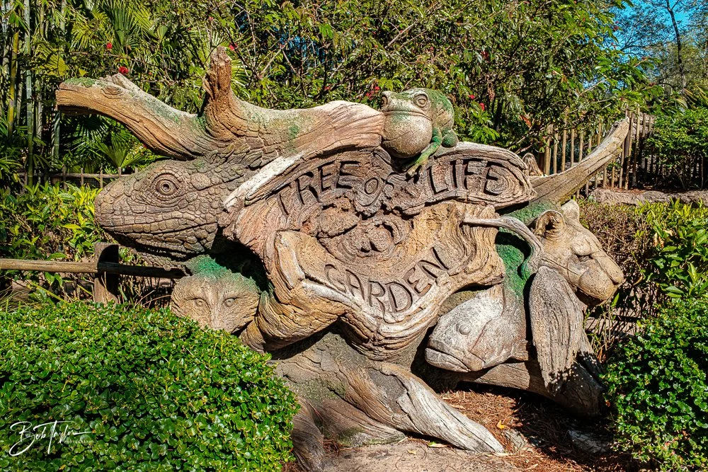 20260127-Animal Kingdom All -158.jpg