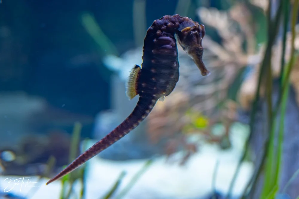 20260126-EPCOT All -55.jpg