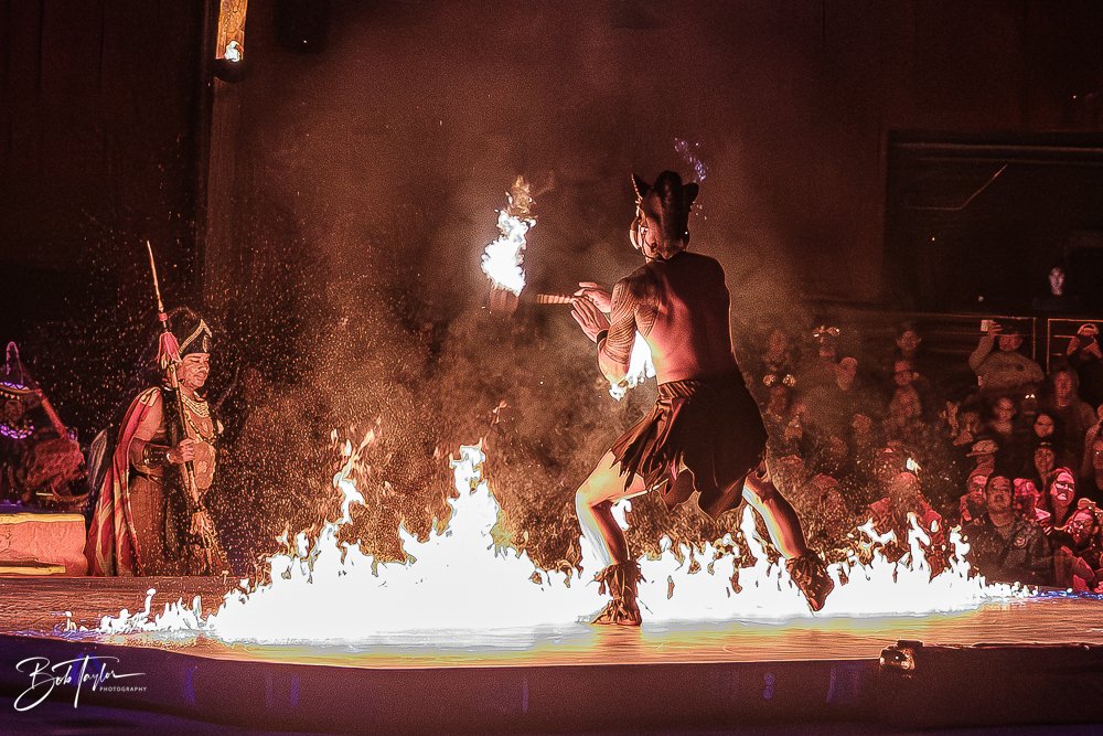 20260127-Animal Kingdom All -144.jpg