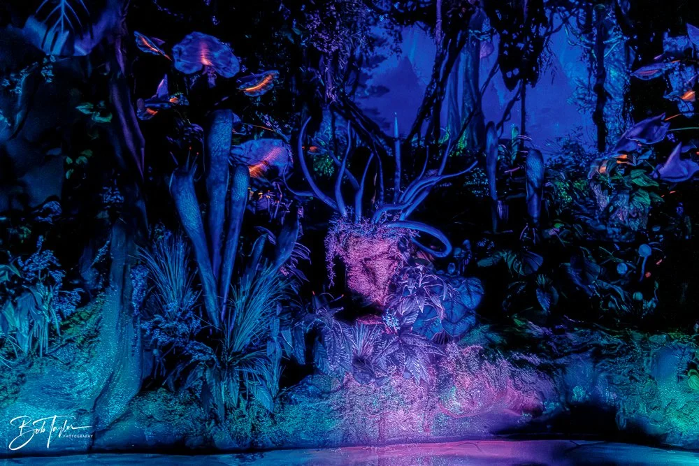 20260127-Animal Kingdom All -126.jpg