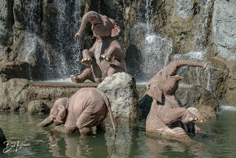 20260128-Magic Kingdom All -104.jpg