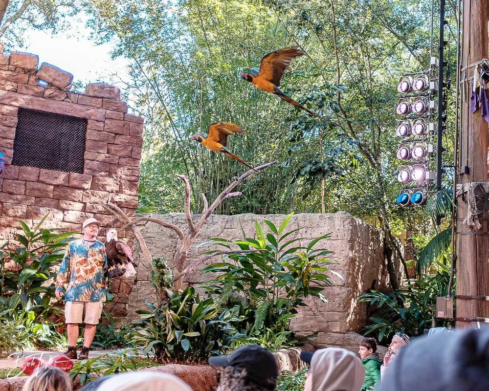 20260127-Animal Kingdom All -56.jpg