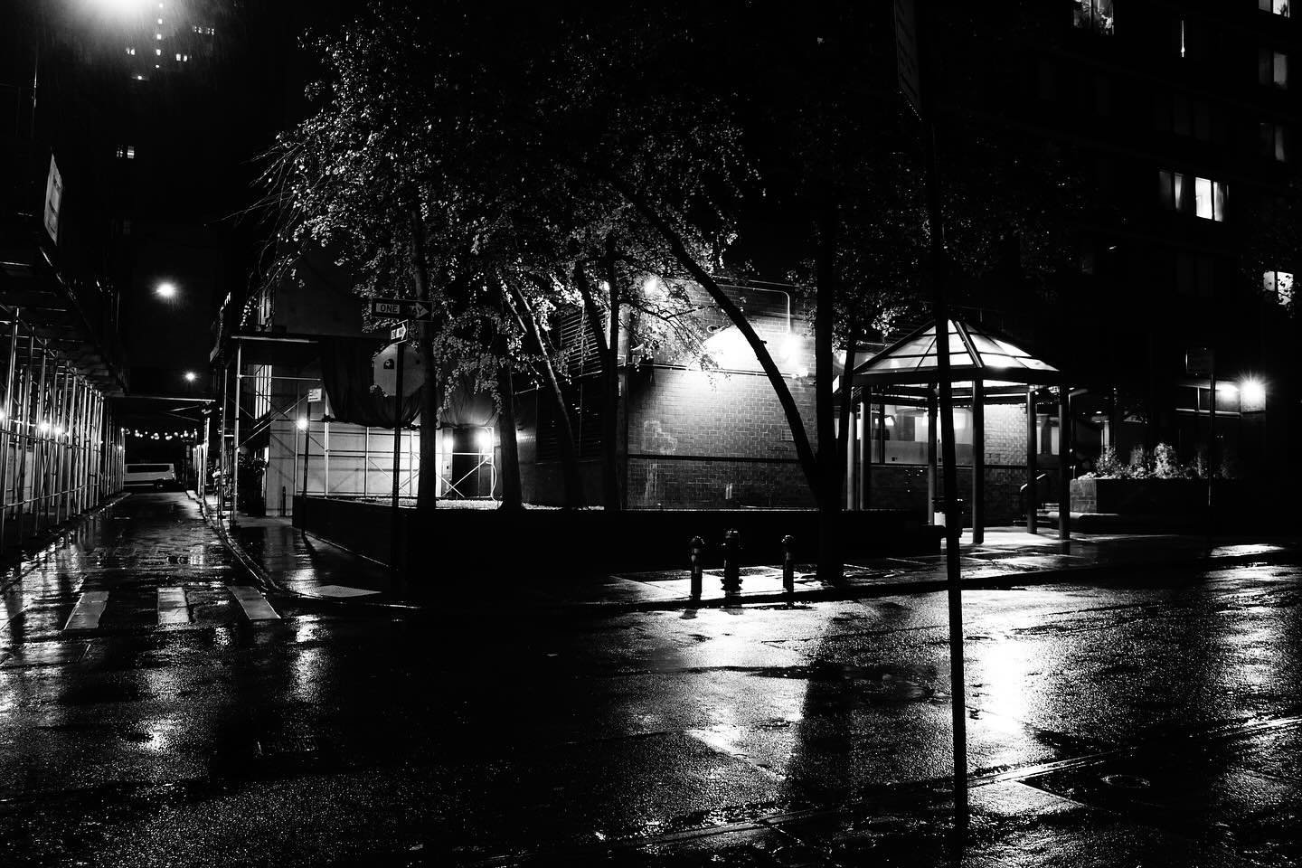 Scouting w/ @monostravel in the cold November rain