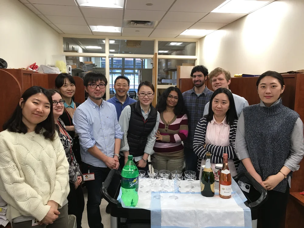 Lab Photos — The Greenblatt Lab at WCM