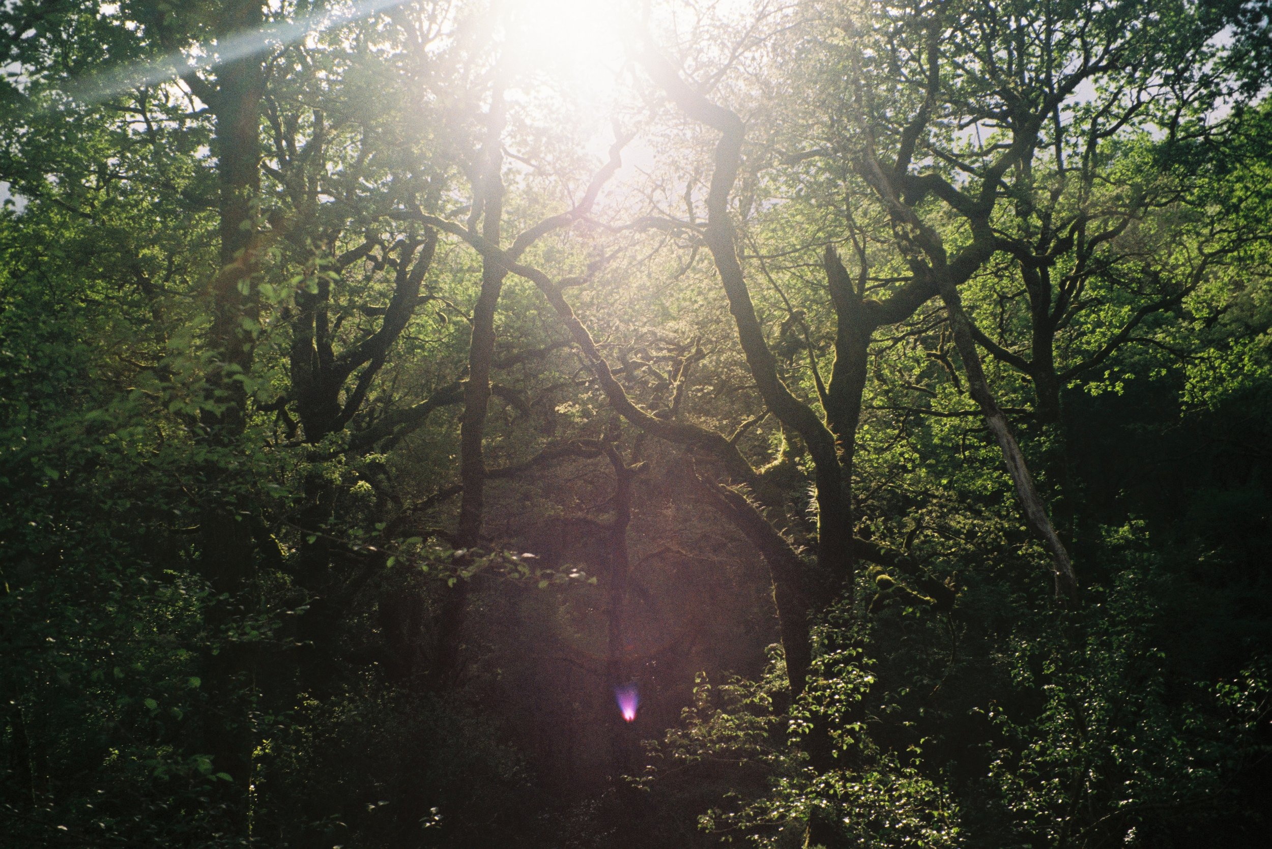 David Close Up-75.JPG