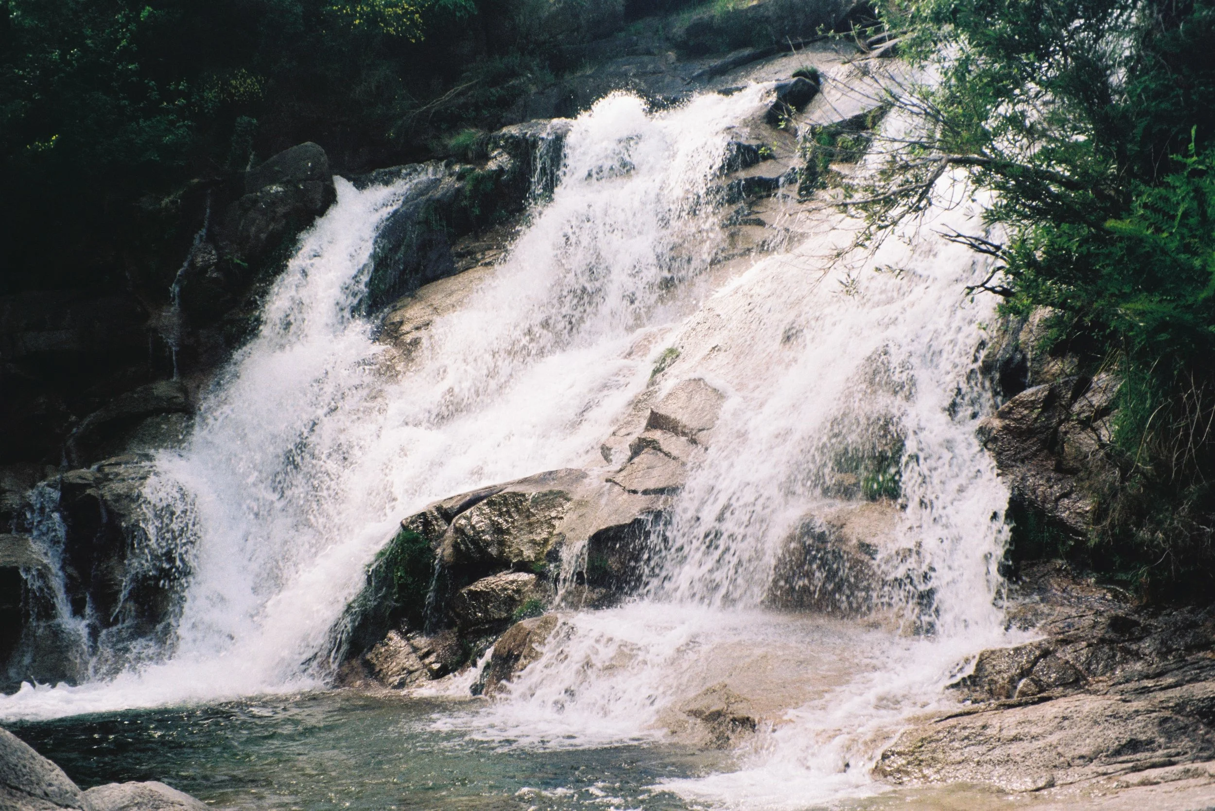 David Close Up-72.JPG