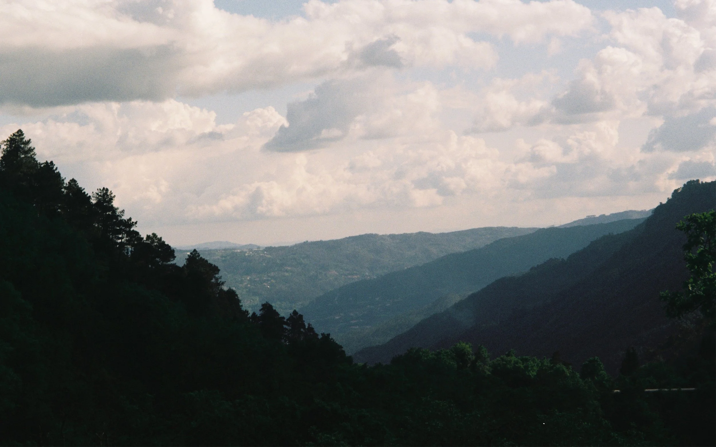 David Close Up-65.JPG