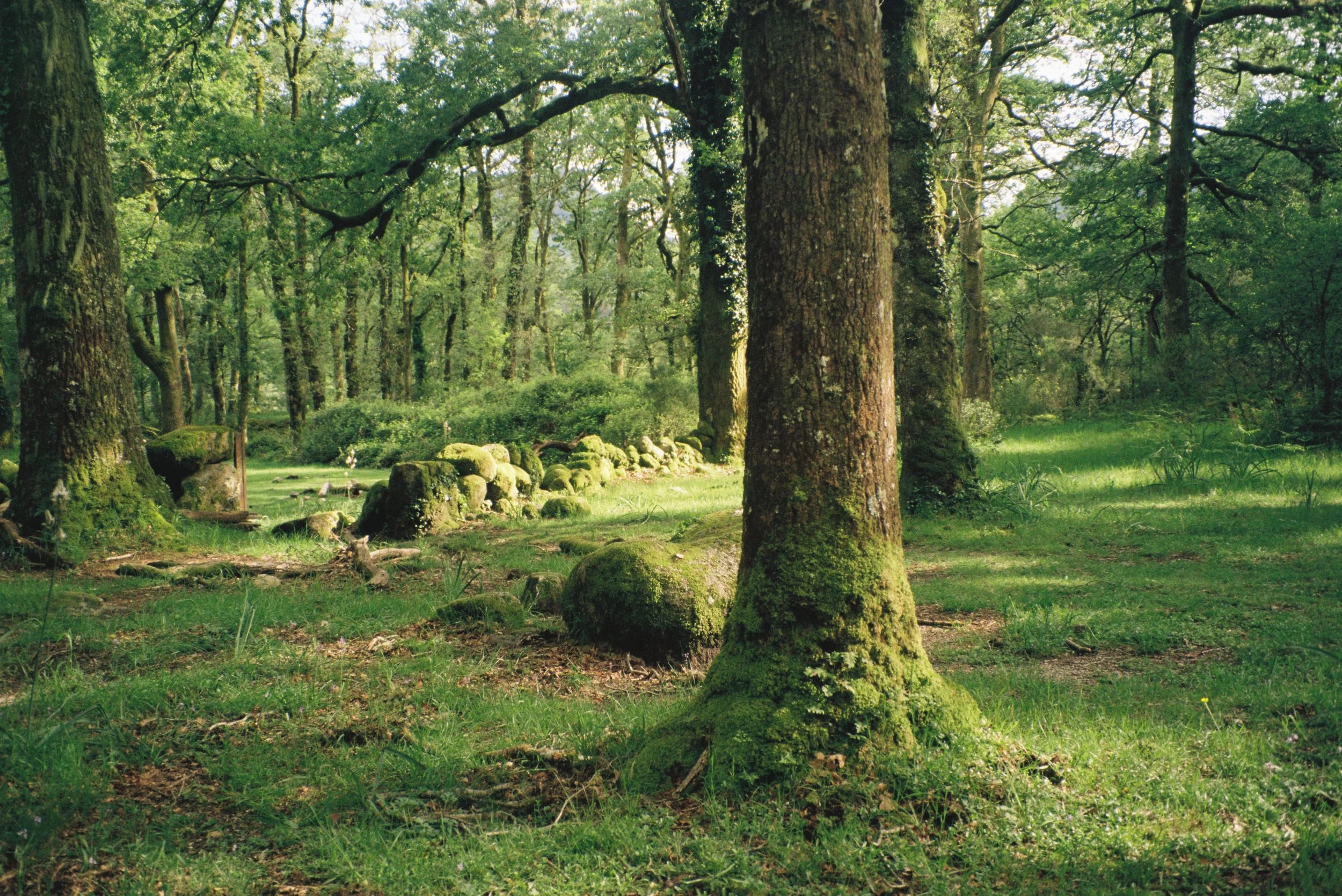 David Close Up-77.JPG