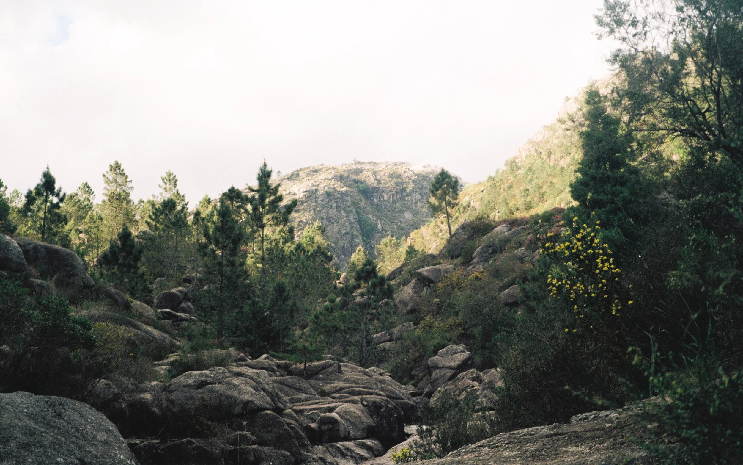 David Close Up-66.JPG