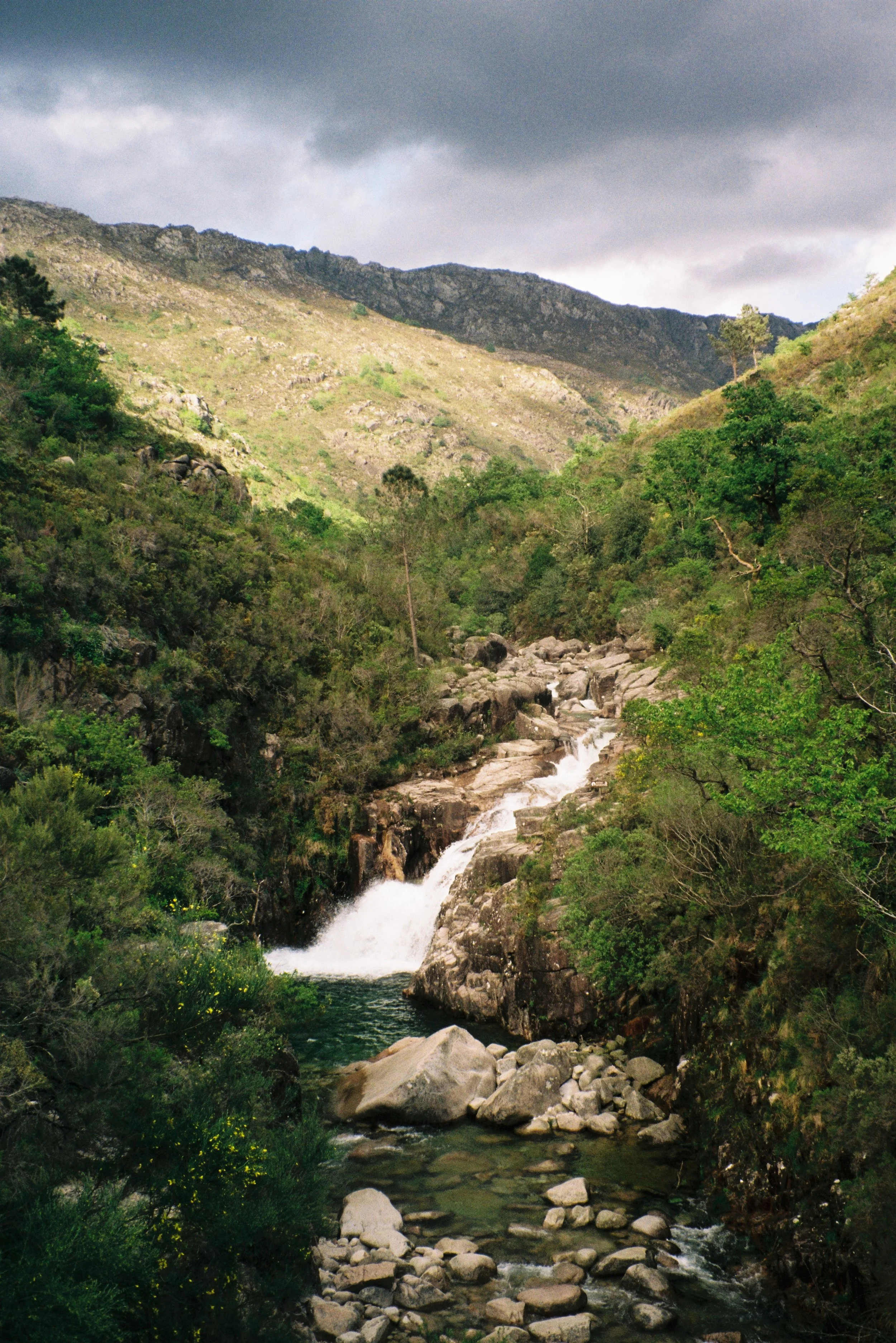 David Close Up-44.JPG