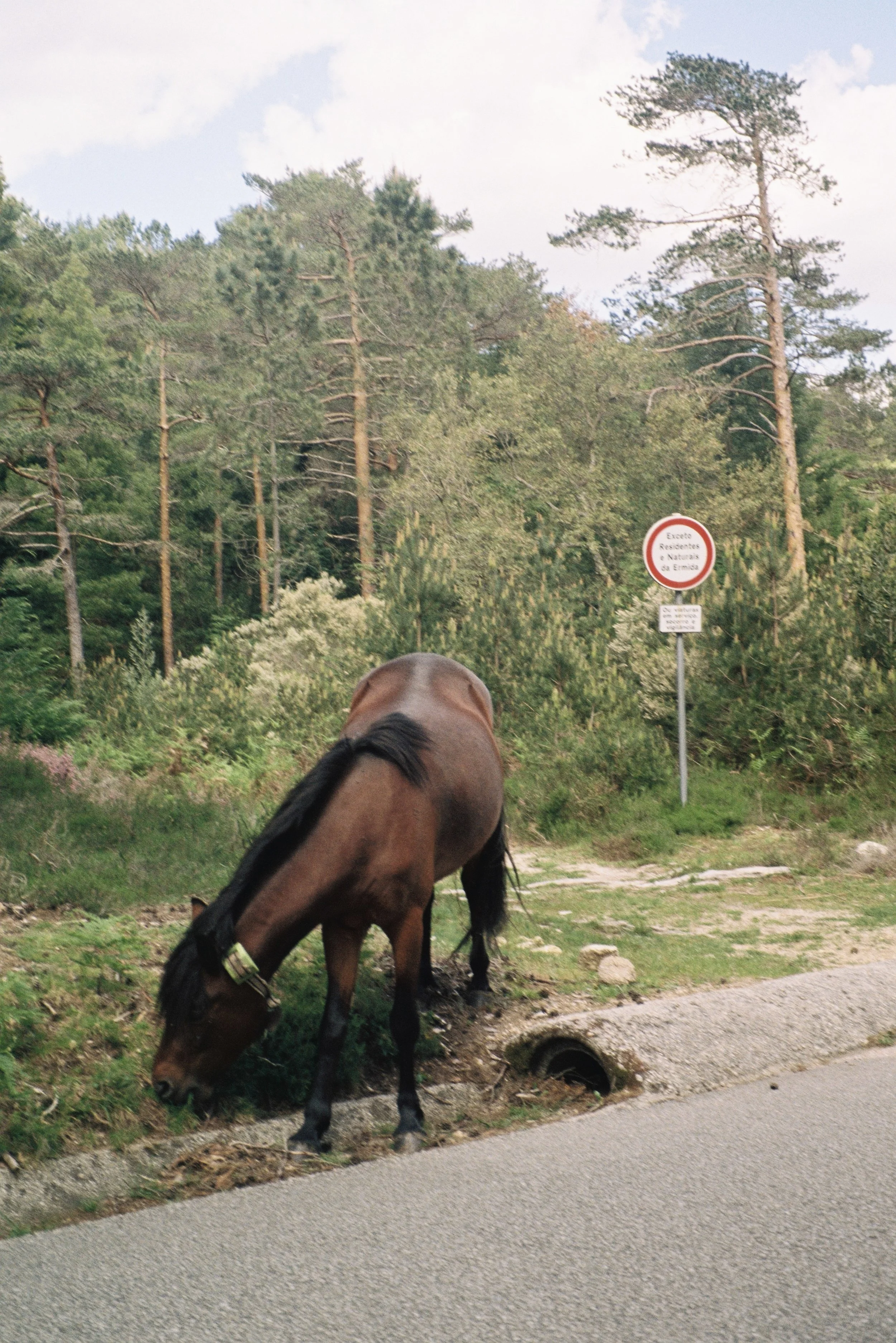 David Close Up-70.jpg