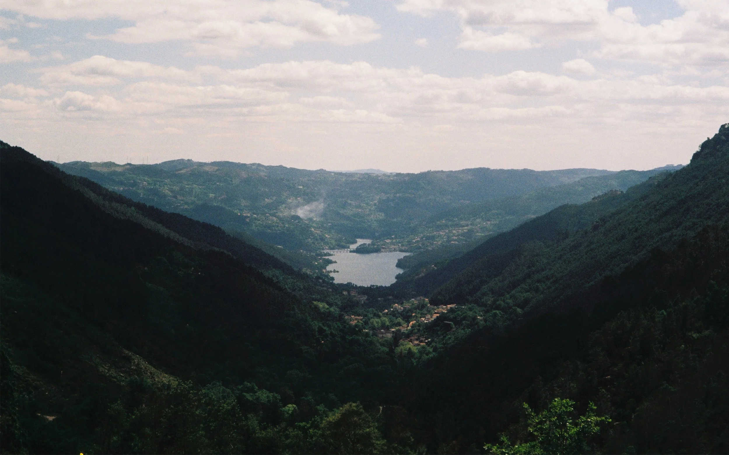 David Close Up-64.JPG