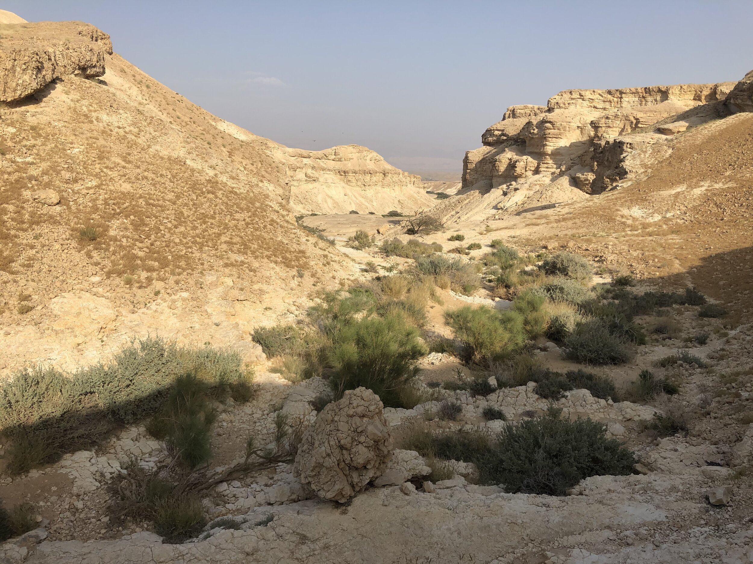 Sound of Thin Silence 