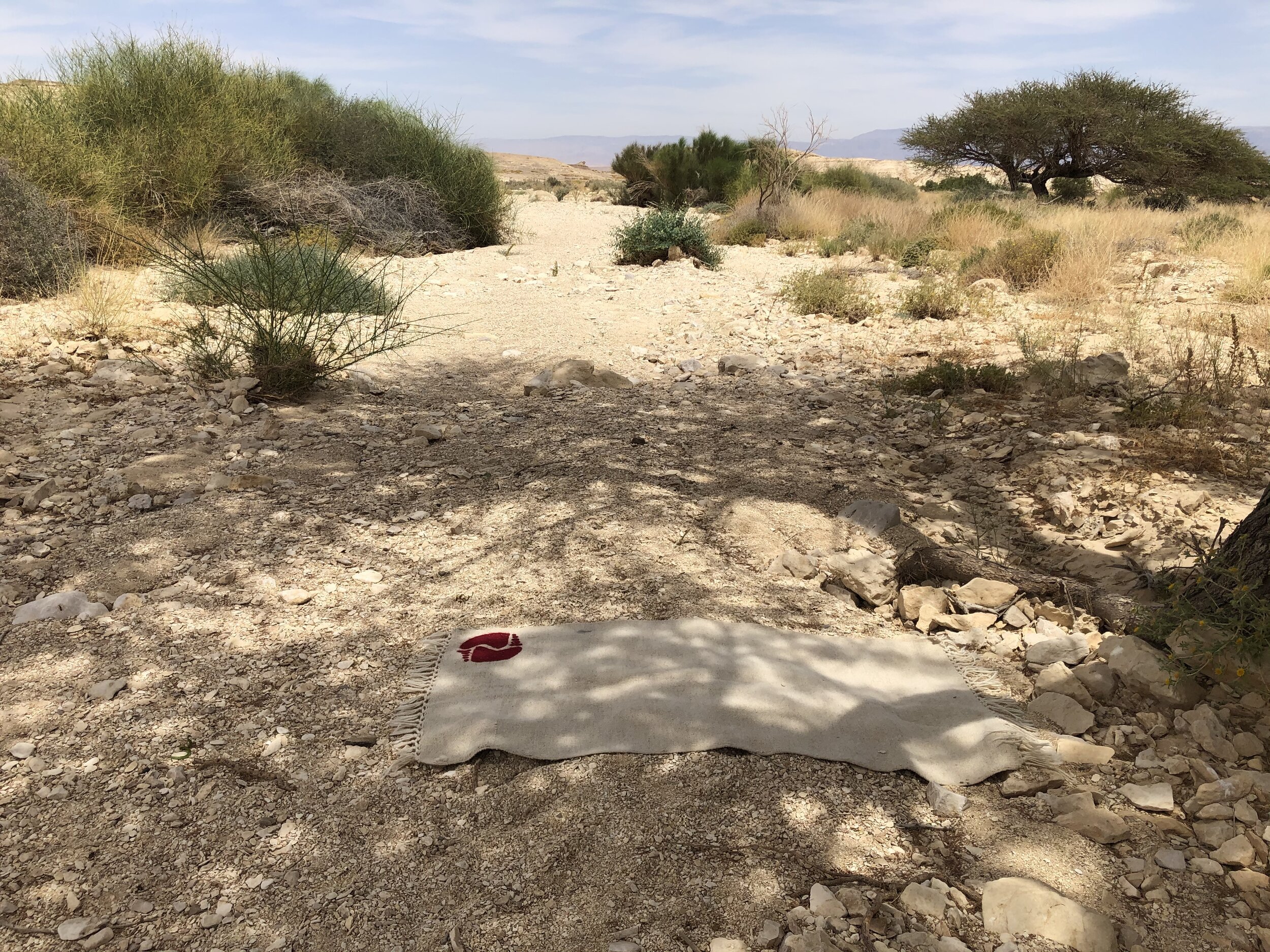 Desert Retreat  ריפוי והרפייה על האדמה ובמים