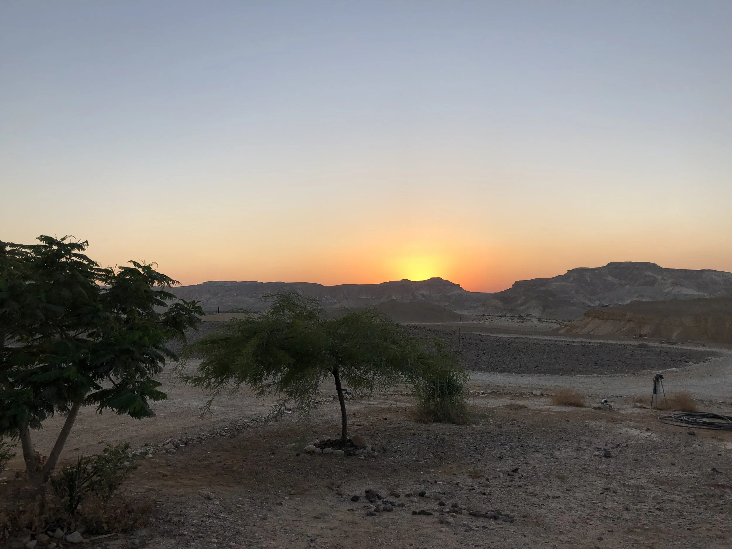 PREPARING FOR THE TRANSITION