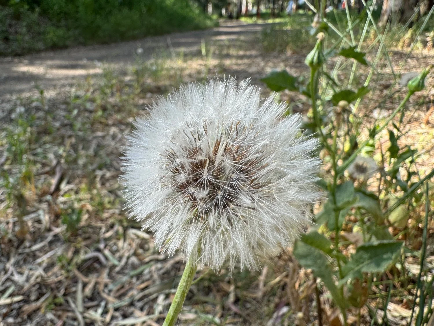 תרגול  30  / 20.4.2024        
