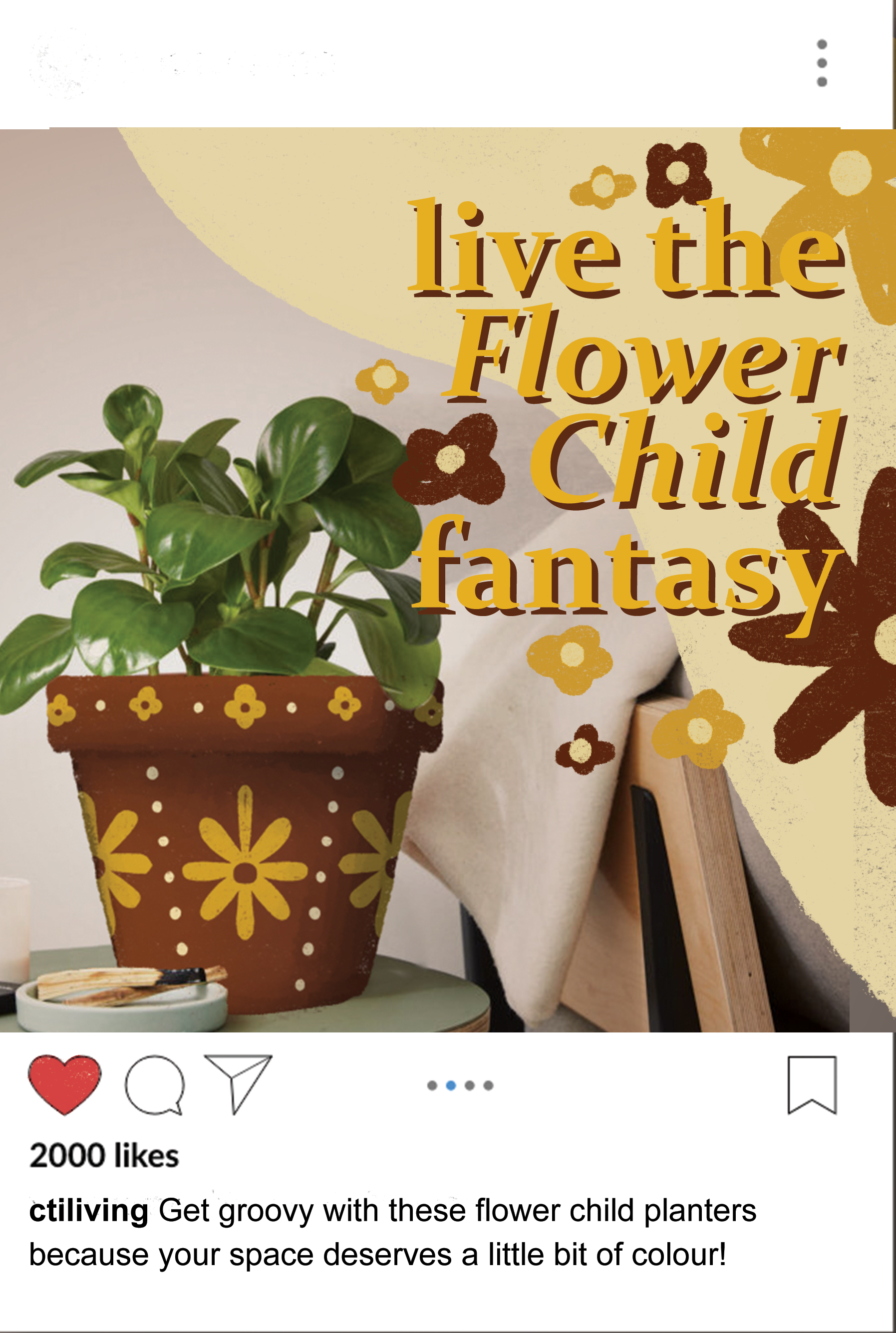 social medi example.png