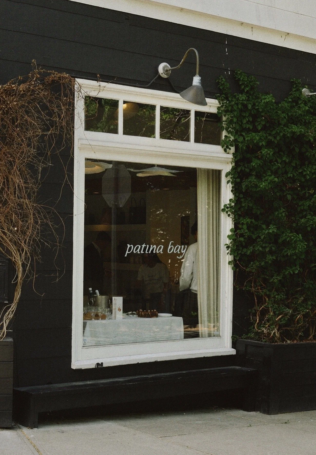 A window with the words 'patina bay' written on it, part of the exterior of a building with black walls, surrounded by green ivy and a dry vine, with a sidewalk beneath.