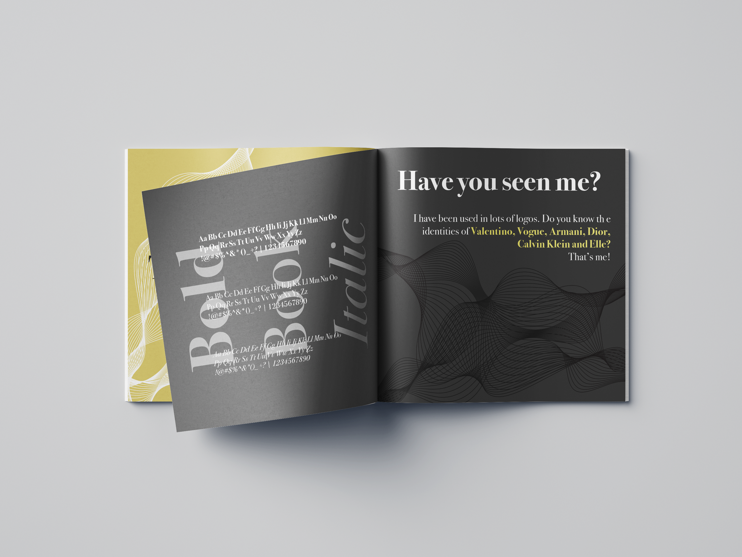 book copy.png