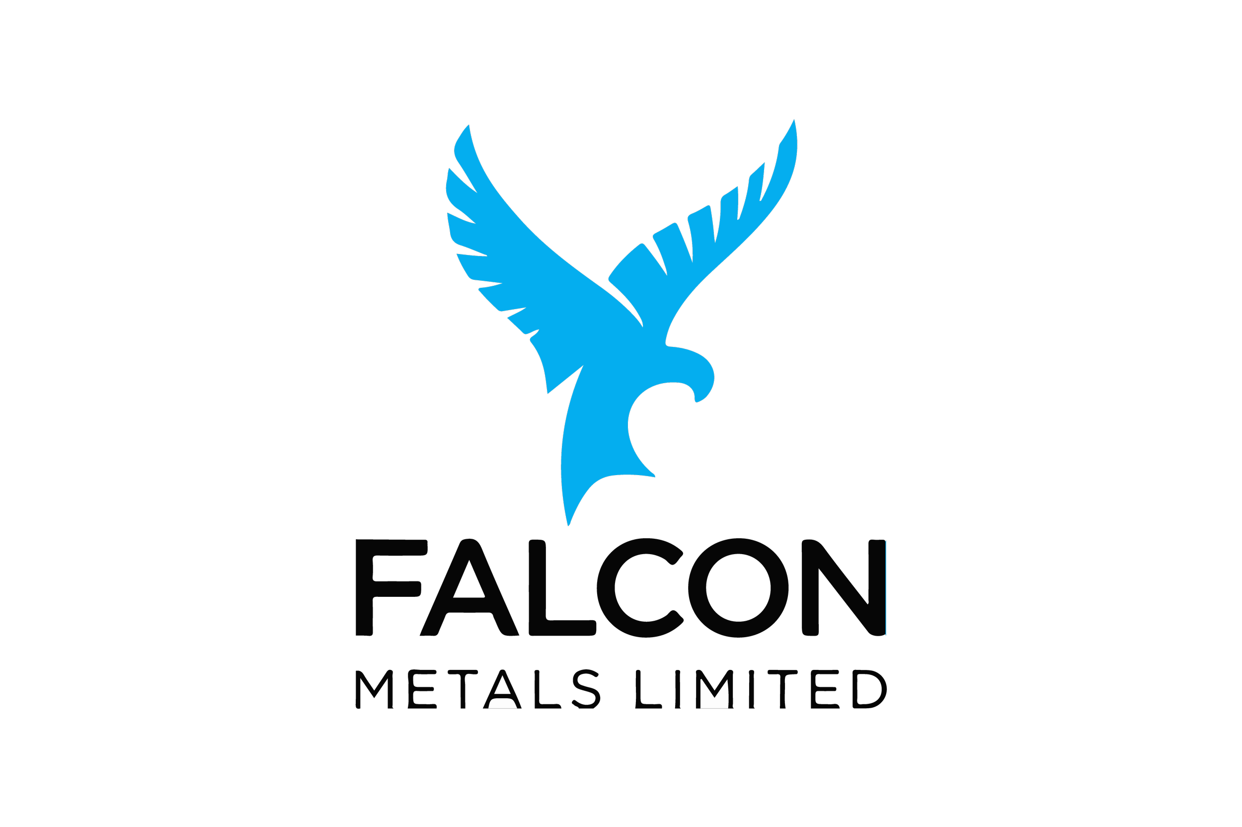falcon.png