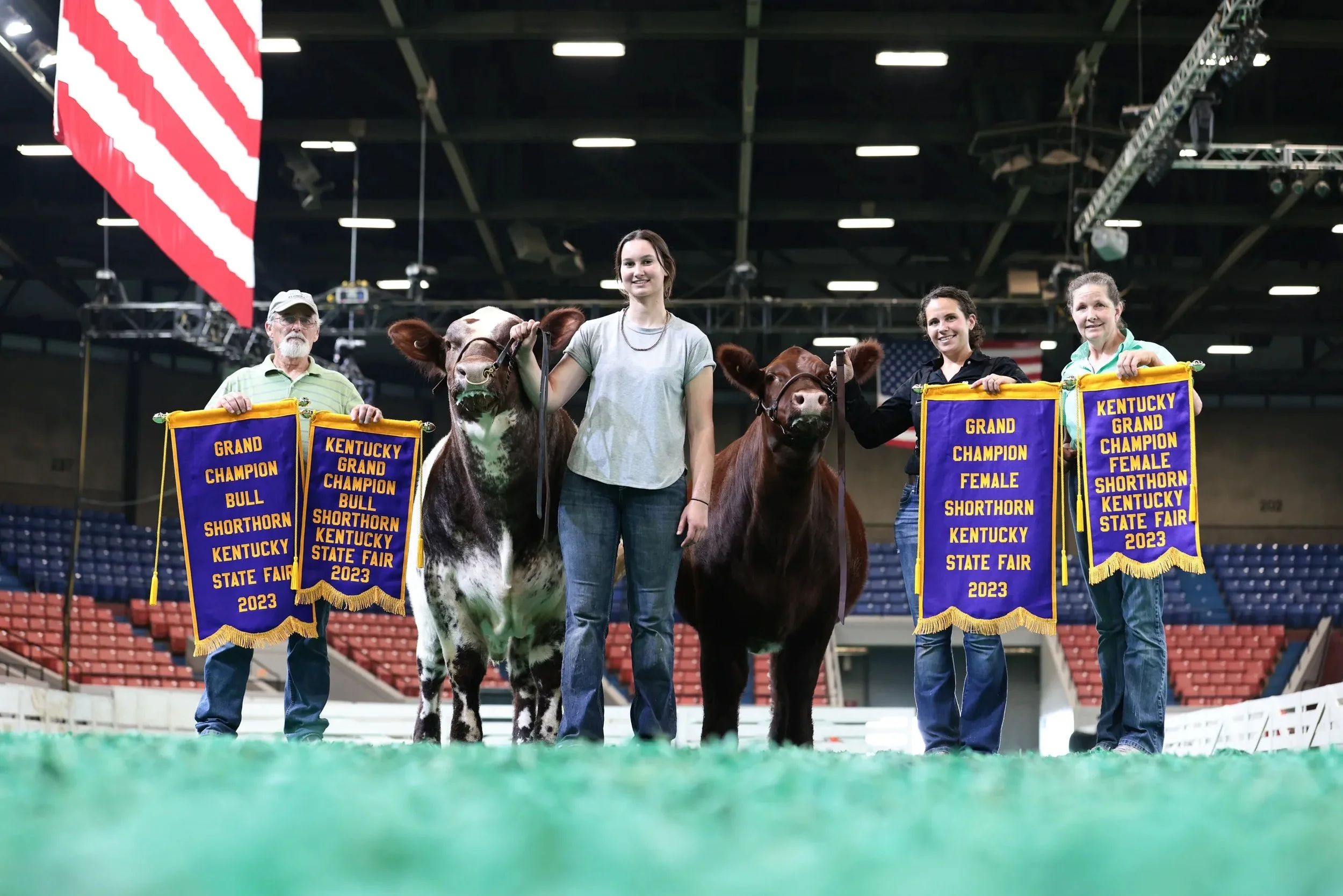 Grand Champion Bull & Grand Champion