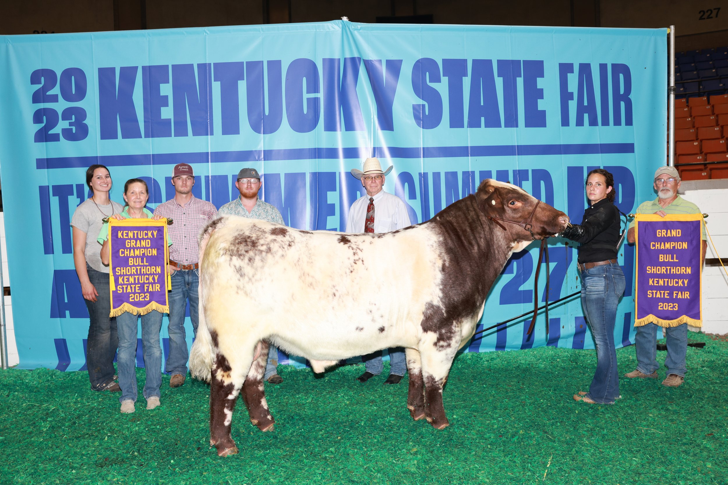 Grand Champion Bull