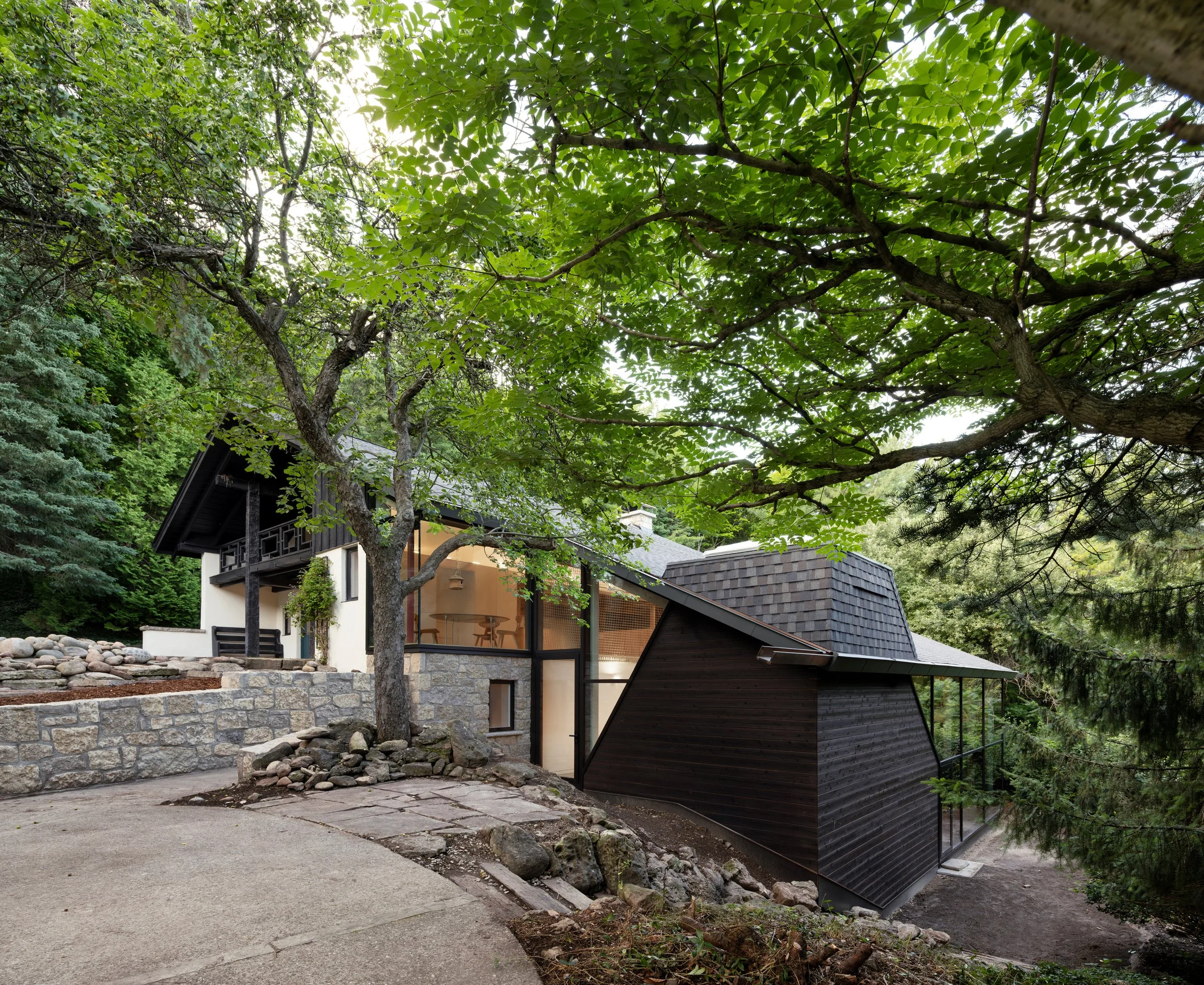 A modern house surrounded by tall trees with green leaves and a stone pathway leading to the entrance.