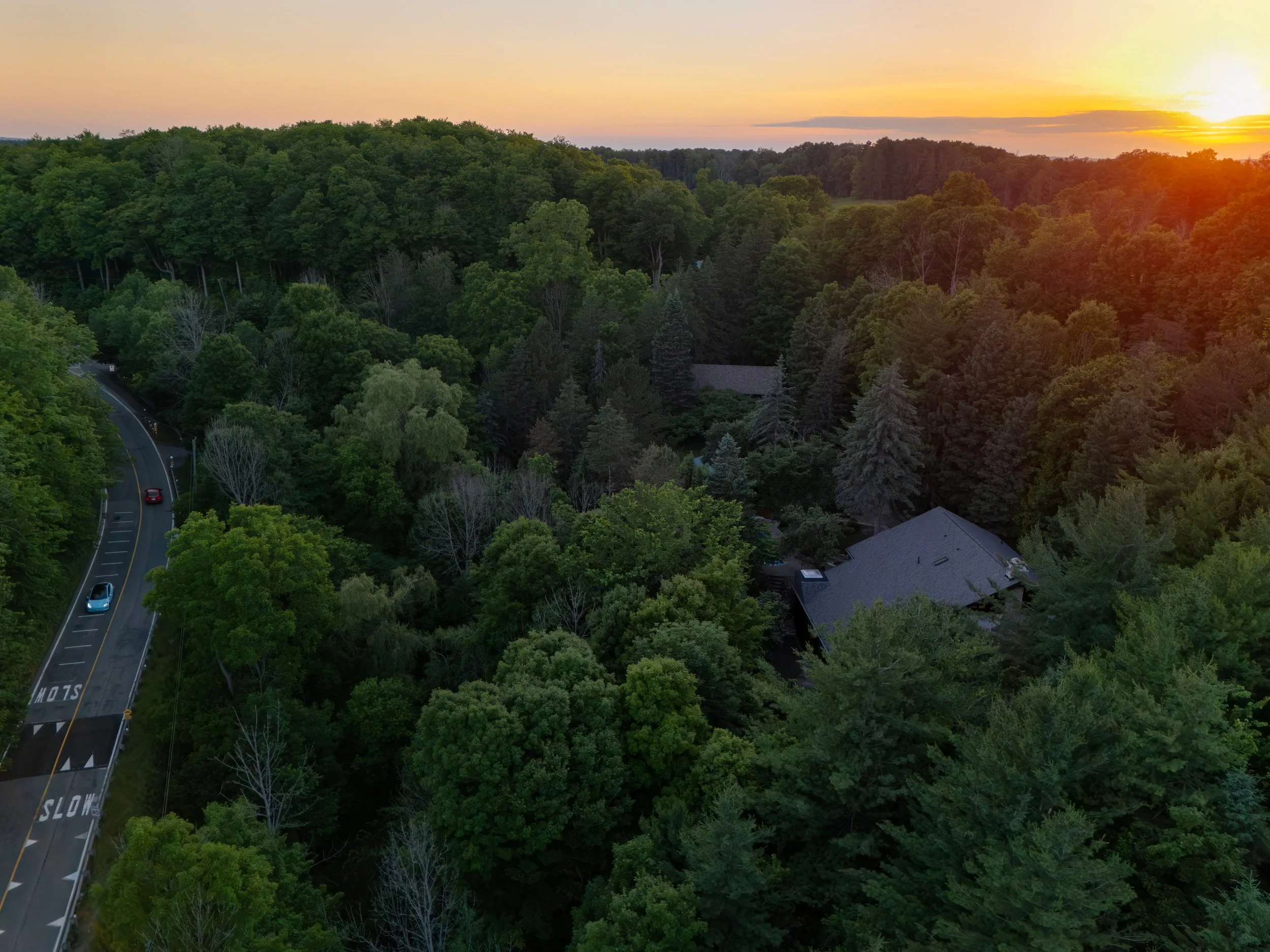 A scenic aerial view of a lush green forest at sunset with a winding road and a few houses visible.
