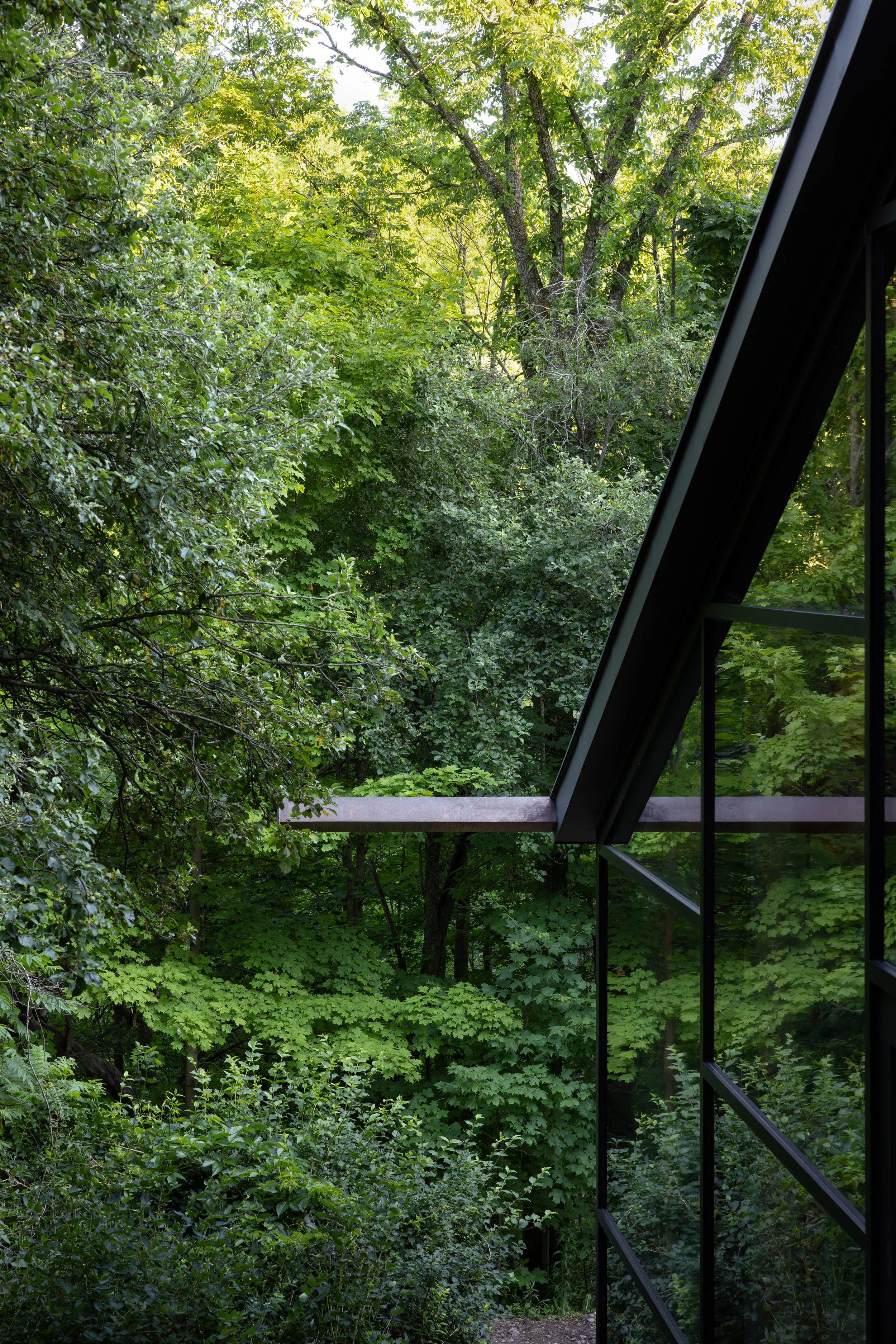 View of lush green trees and foliage seen through a large glass window with a black metal frame, part of a modern building.
