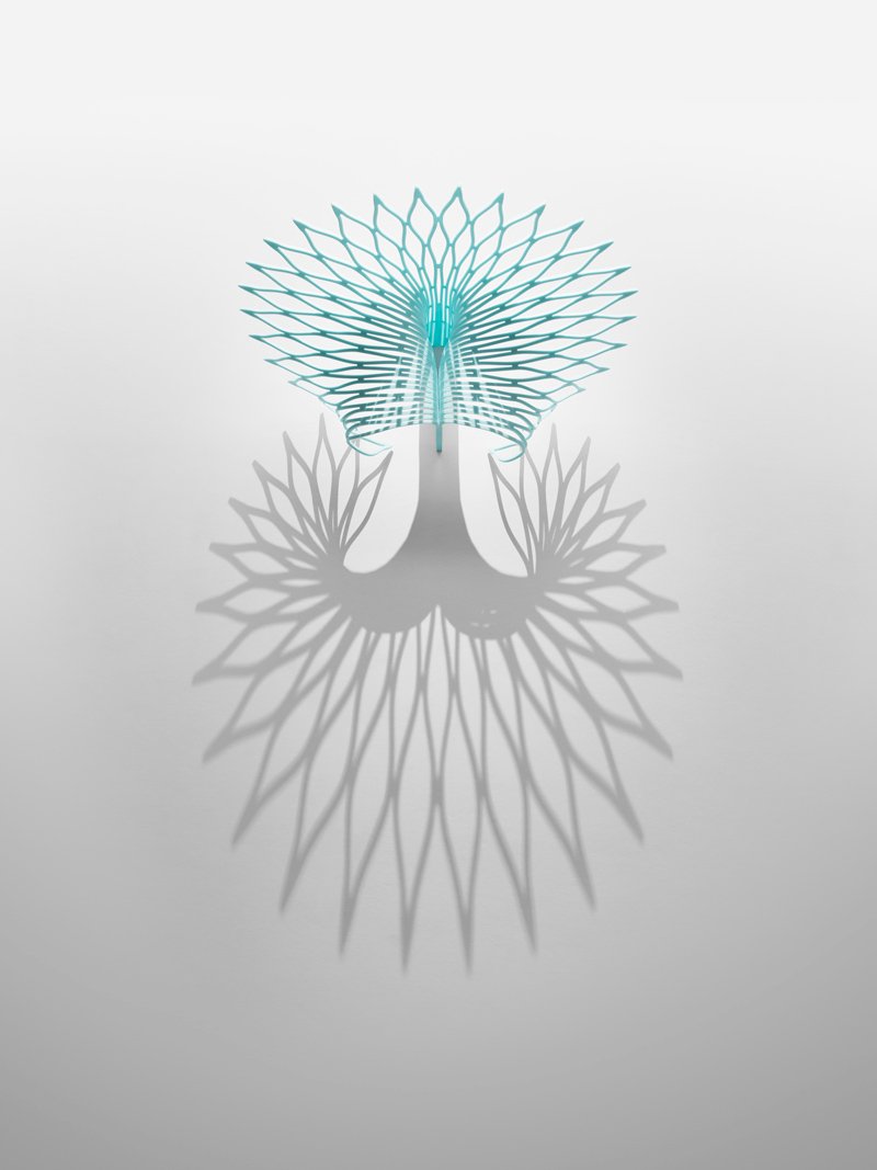 Peacock-S-1.jpg