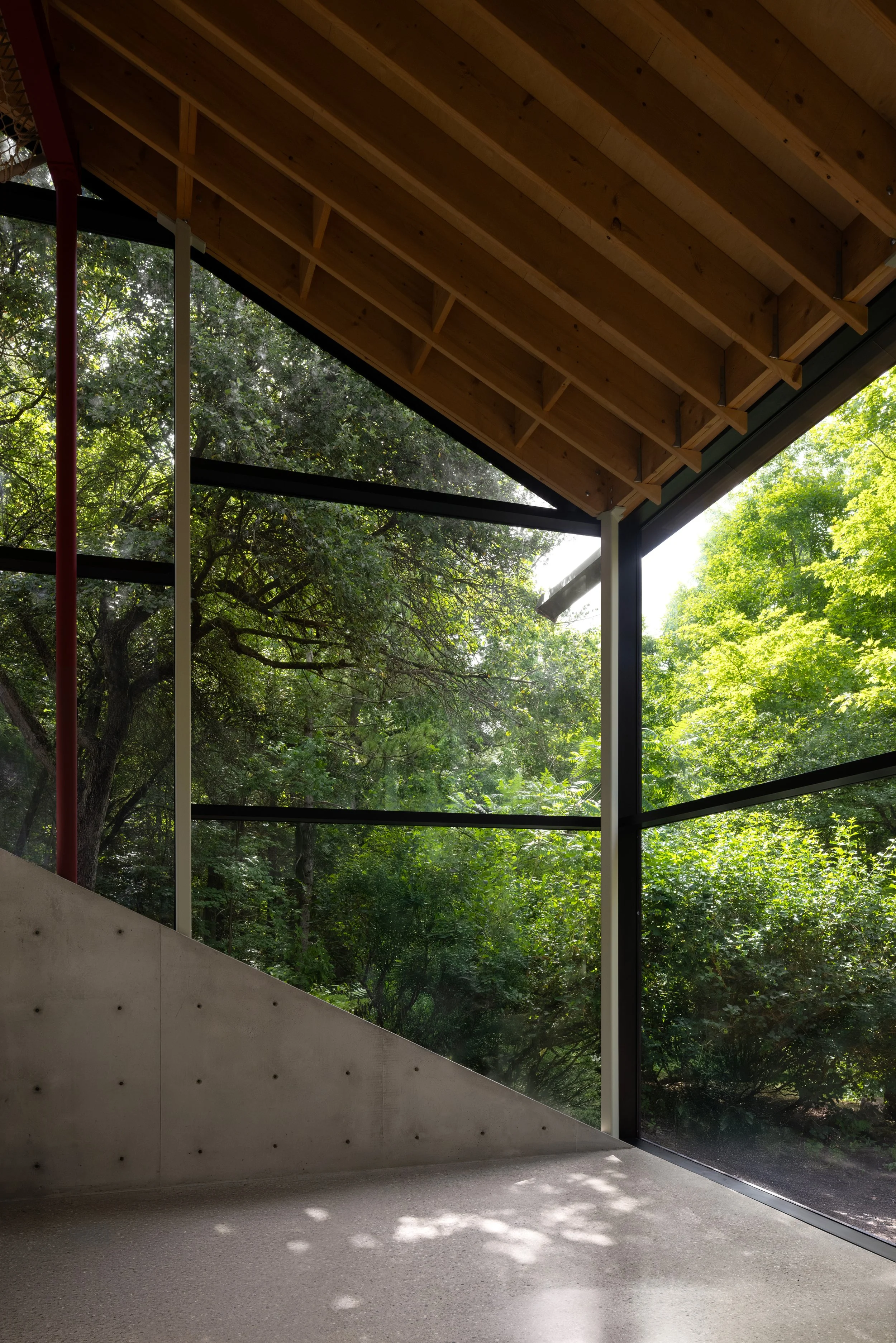 Interior of a modern building with large floor-to-ceiling windows showing trees outside, a wooden ceiling, and a concrete wall with small holes, illuminated by sunlight.