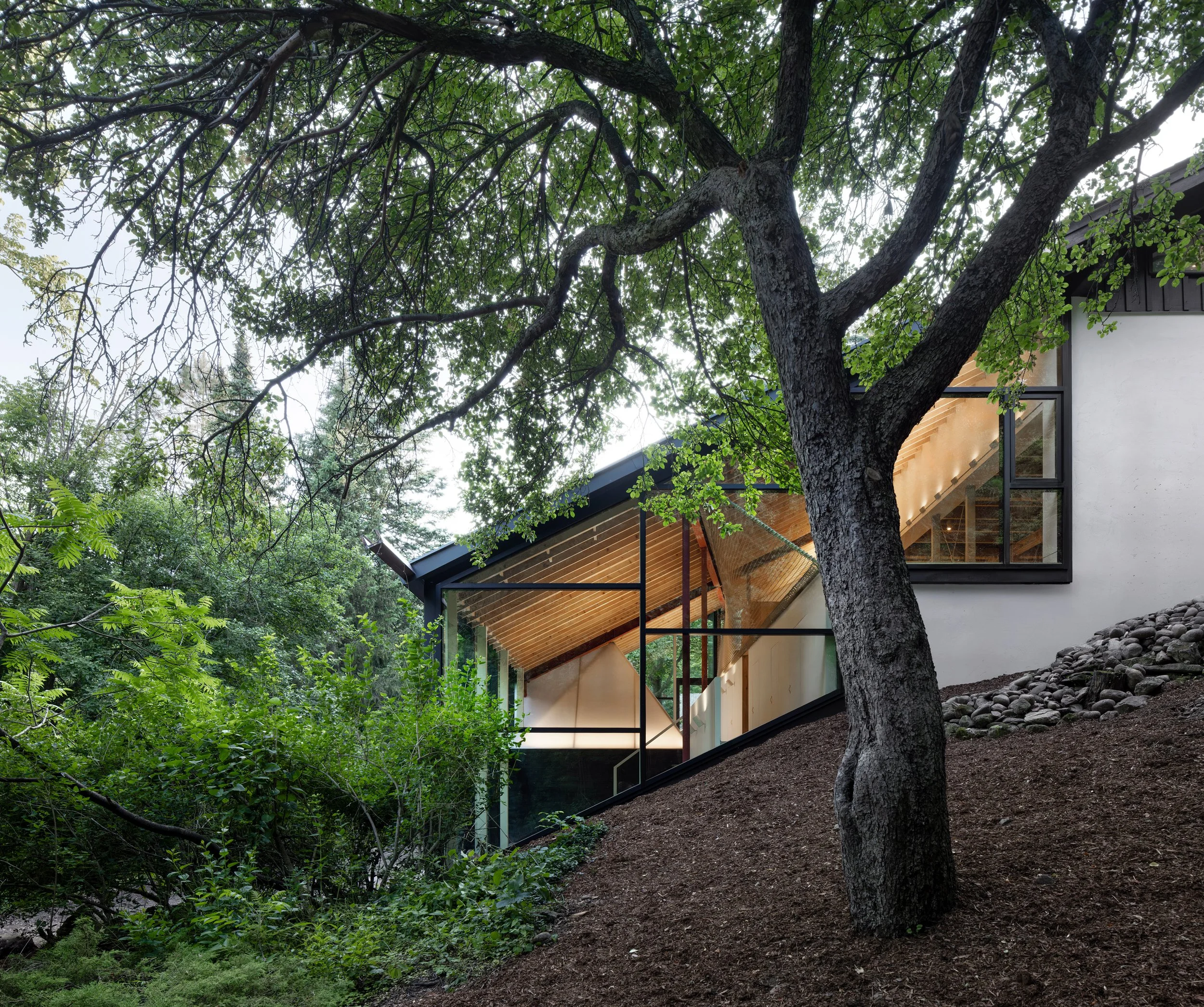 Modern house with large glass windows and exposed wooden beams, nestled among tall trees and lush greenery.