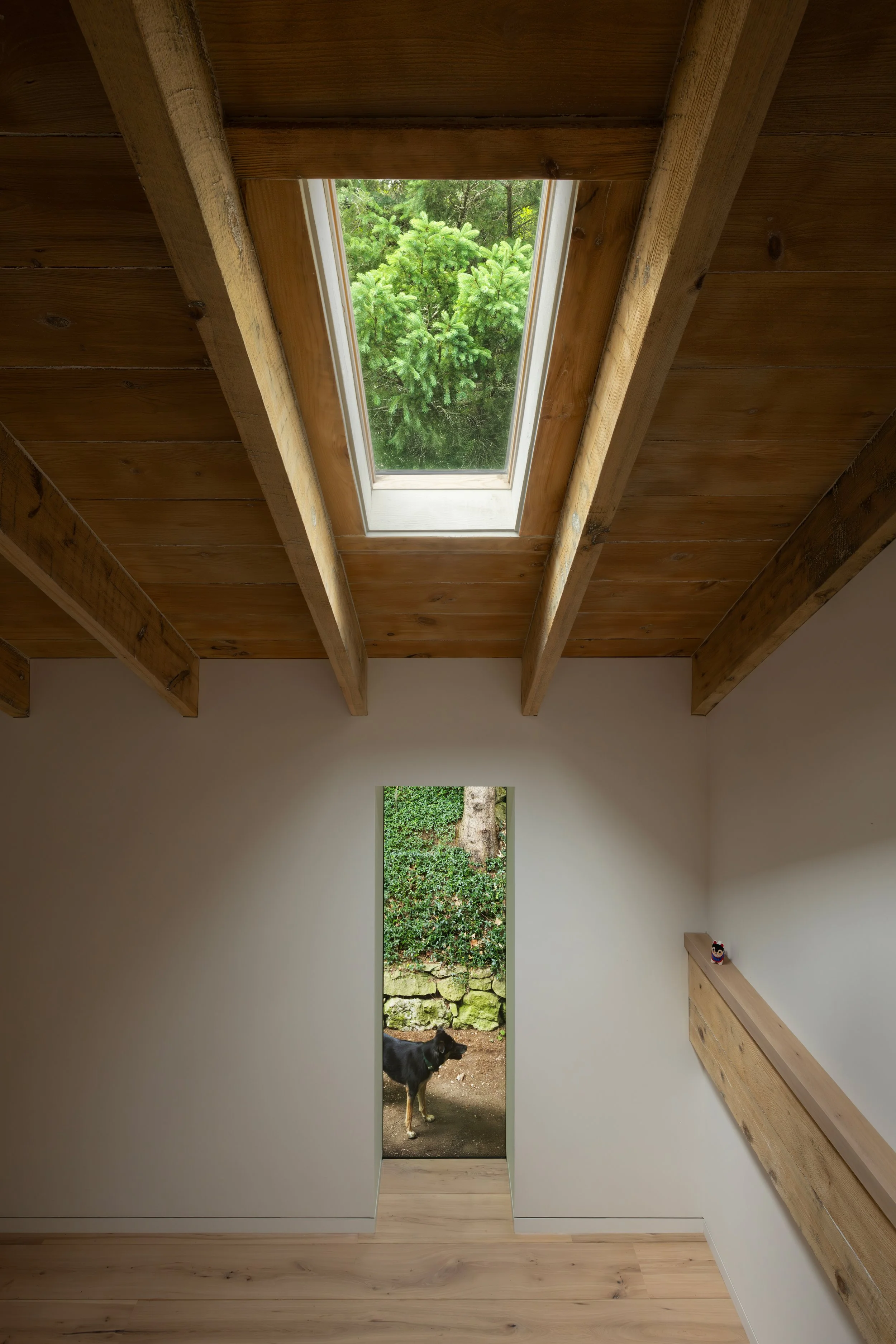 A room with wooden beams and a skylight ceiling, looking out through a door at a dog standing outside near a garden wall.