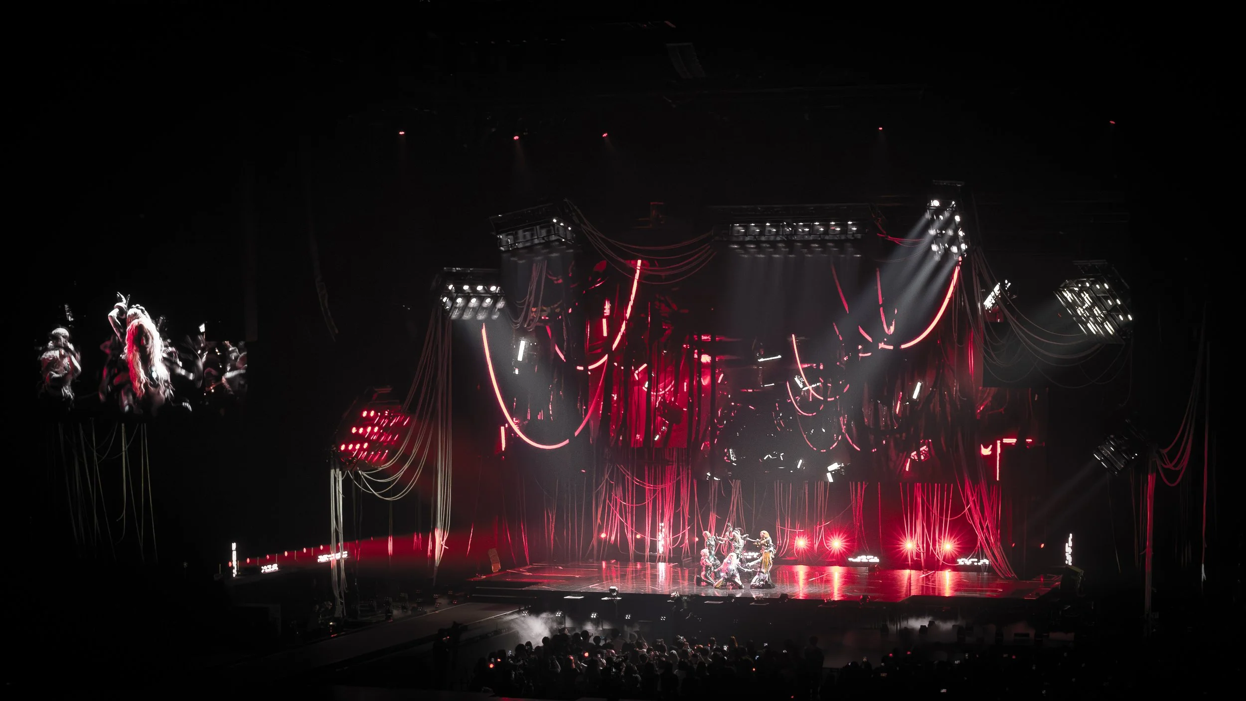 xg 02 gala AR8A2135 jaw.jpg