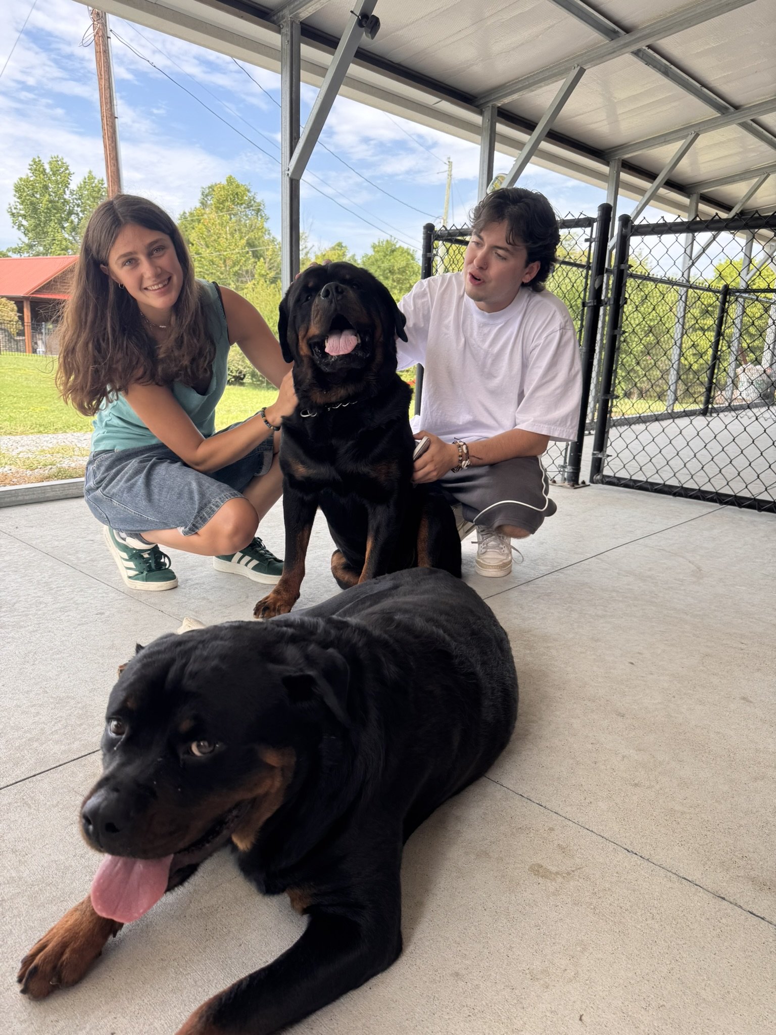 A woman, a man, and a large Rottweiler dog outside on a concrete patio. The woman has long brown hair and is kneeling, smiling at the camera. The man has dark hair and is crouching, petting the dog. There is a chain-link fence and a grassy area with 