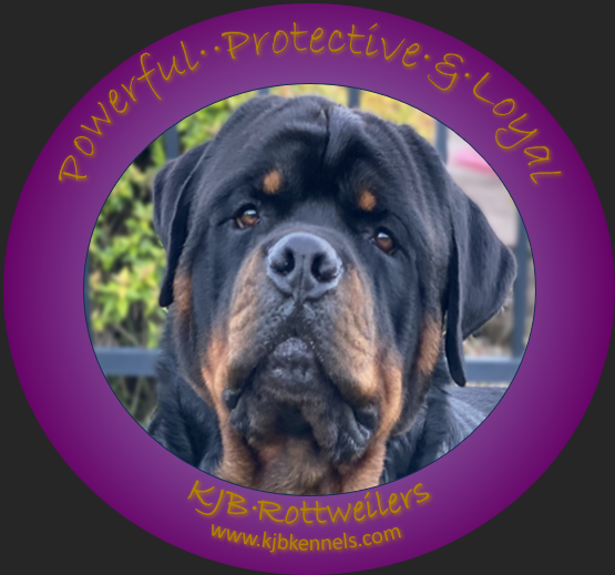 Contact — KJB Kennels