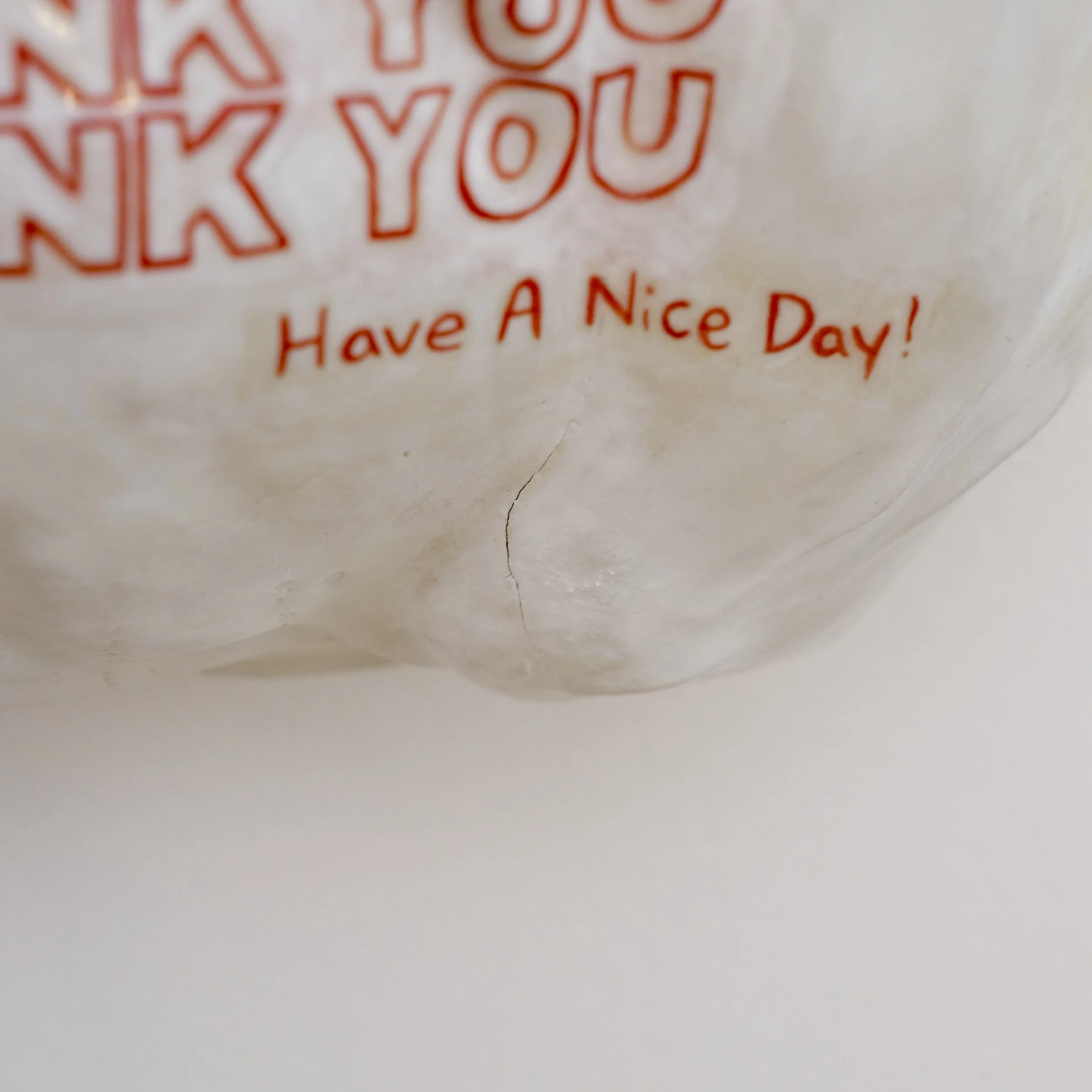 thank you 5x takeout bag