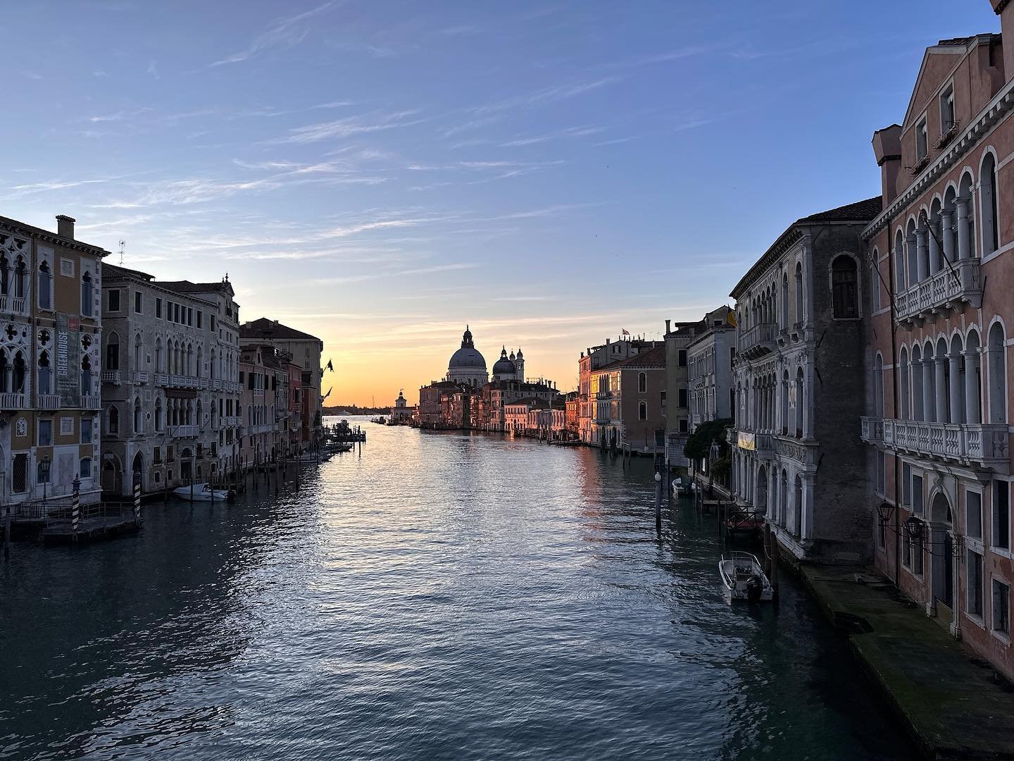 Venetian views. #dogontheforge