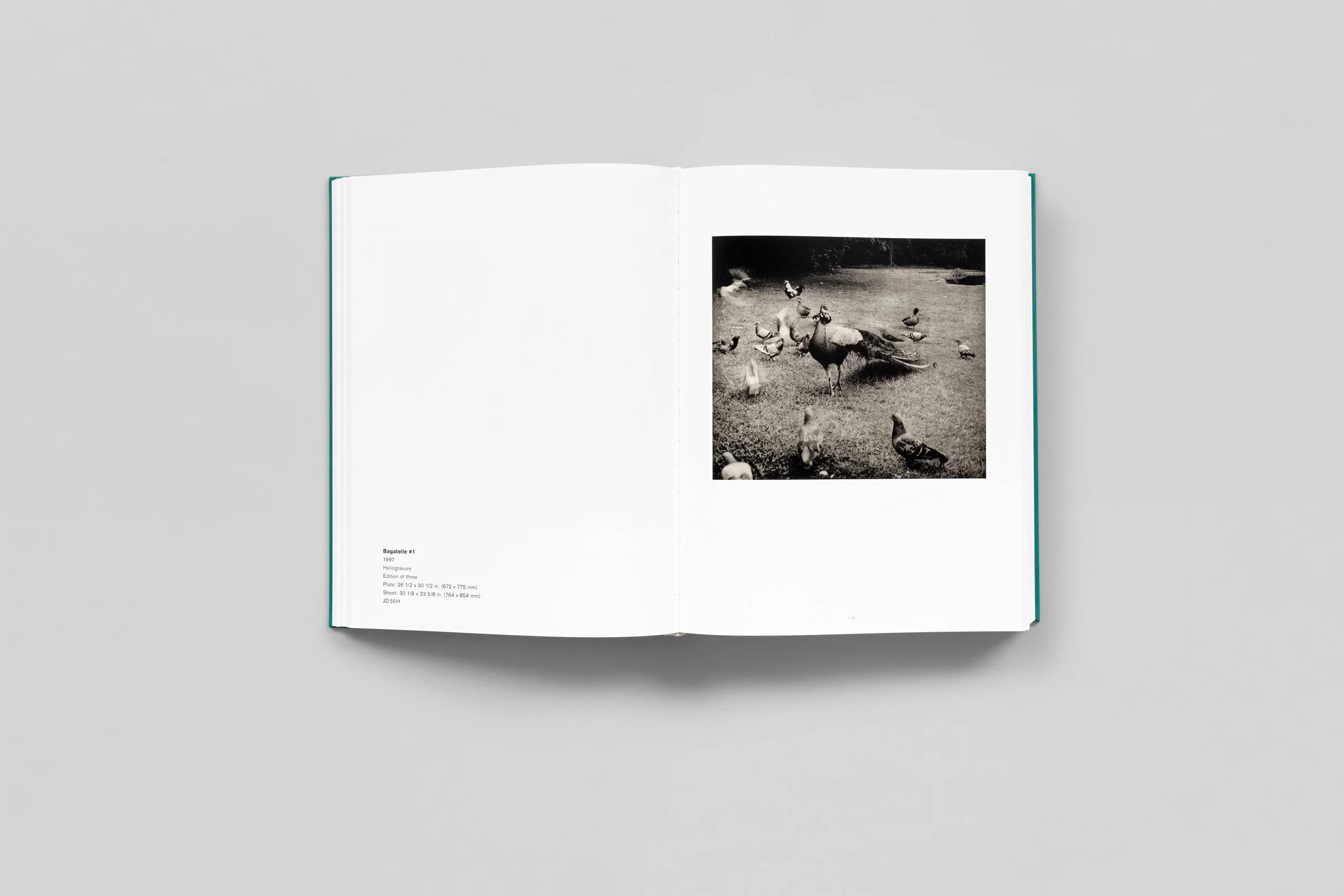 jim-dine-the-photographs-so-far-007.jpg