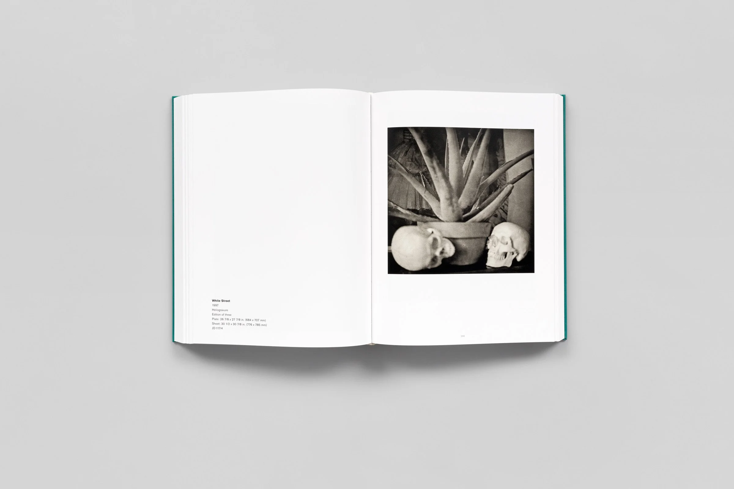 jim-dine-the-photographs-so-far-008.jpg