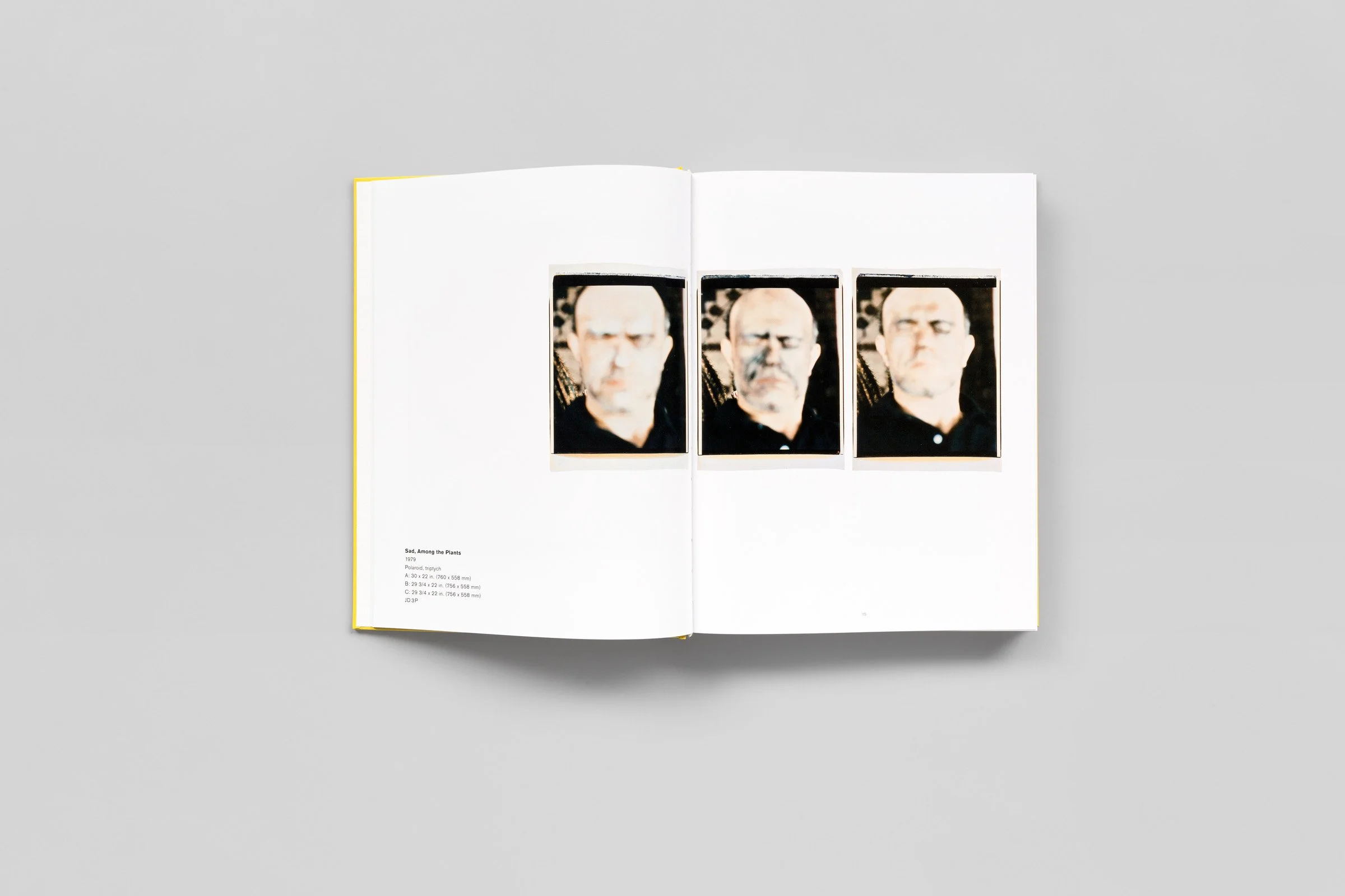 jim-dine-the-photographs-so-far-011.jpg
