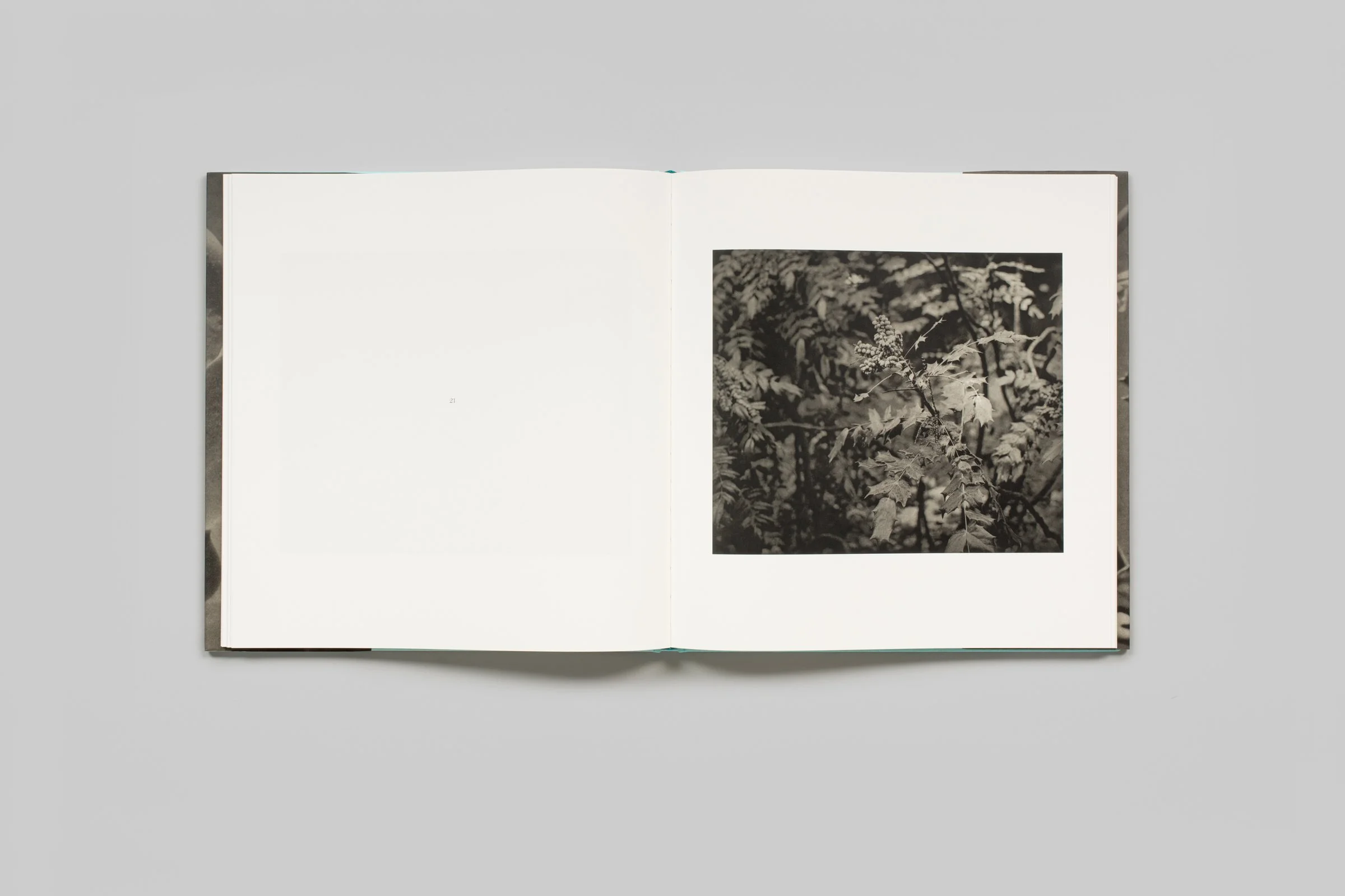 jim-dine-entrada-drive-006.jpg