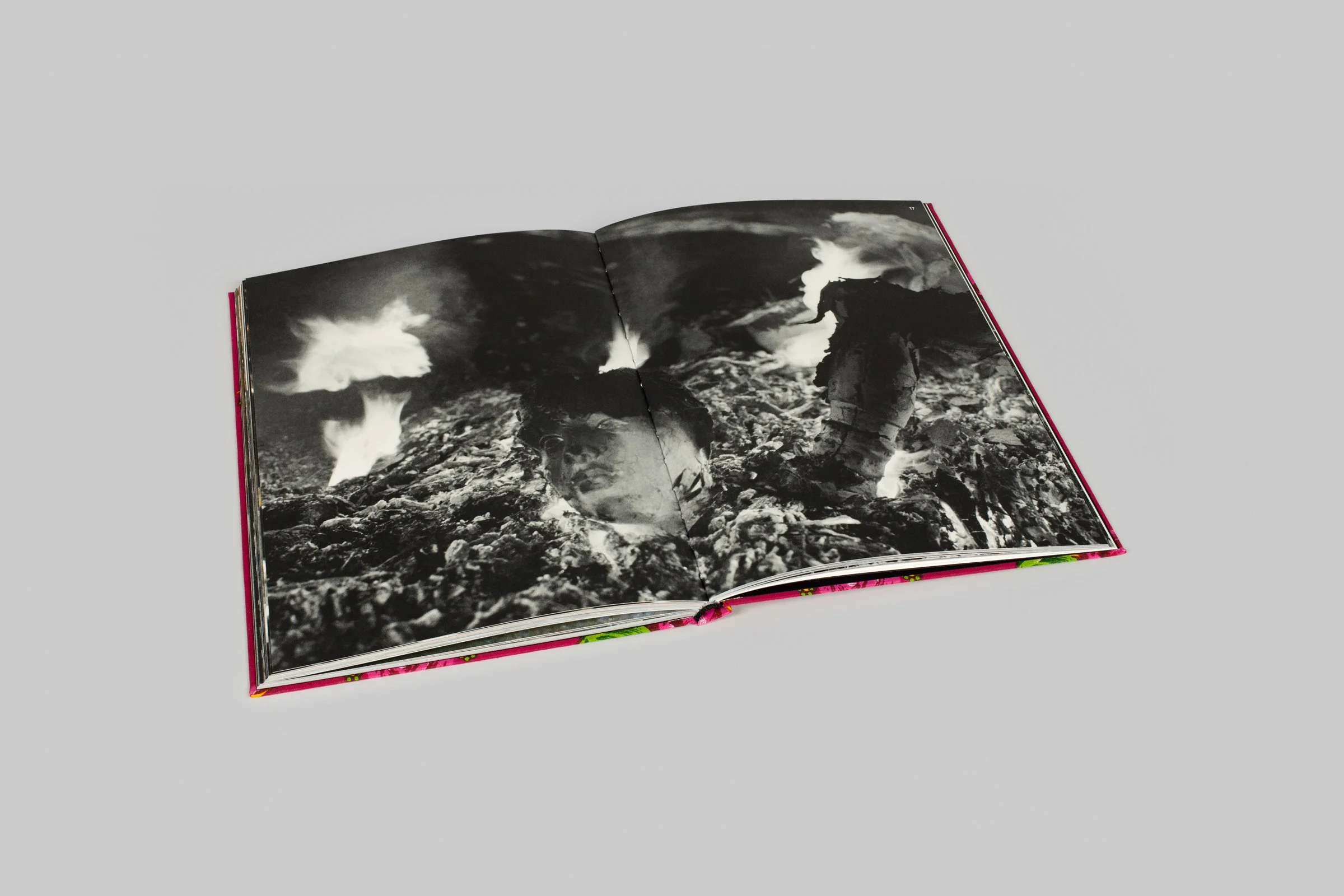 jim-dine-diana-michener-3-poems-bose-pacia-gallery-003.jpg