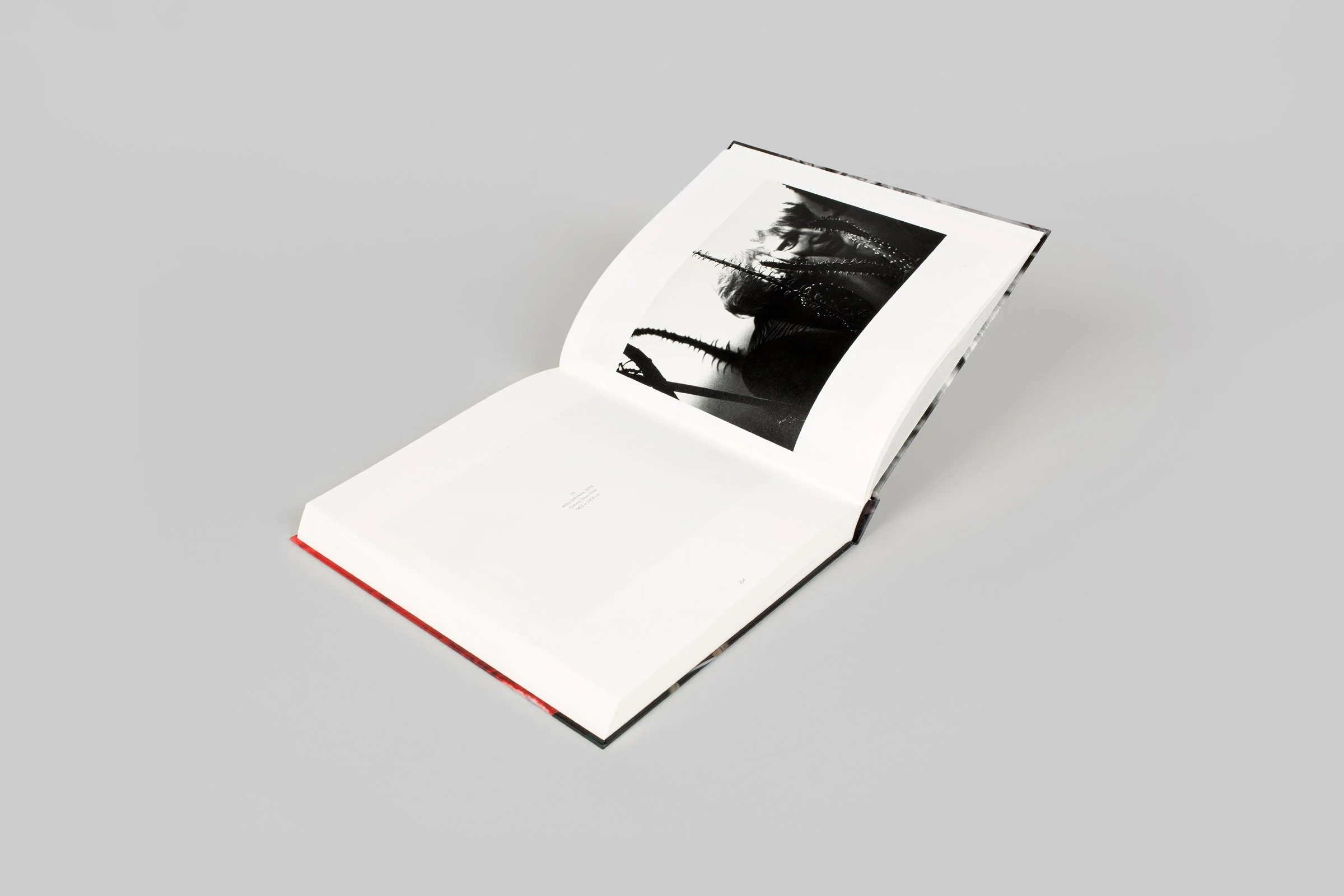 jim-dine-this-is-how-i-remember-now-portraits-die-photographische-sammlung-sk-stiftung-kultur-koeln-003.jpg